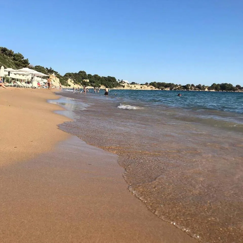 George Beach Studios