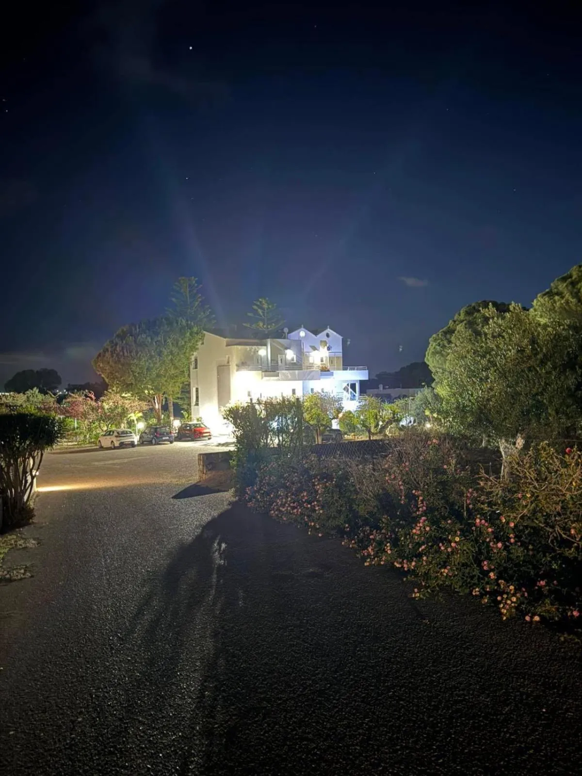 George Beach Studios