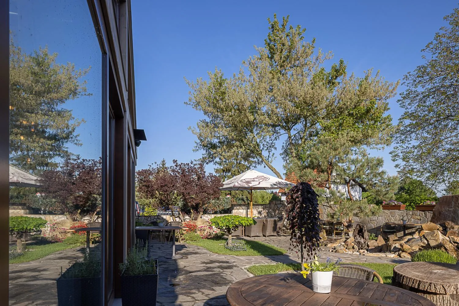 Off site in Hotel McLimon