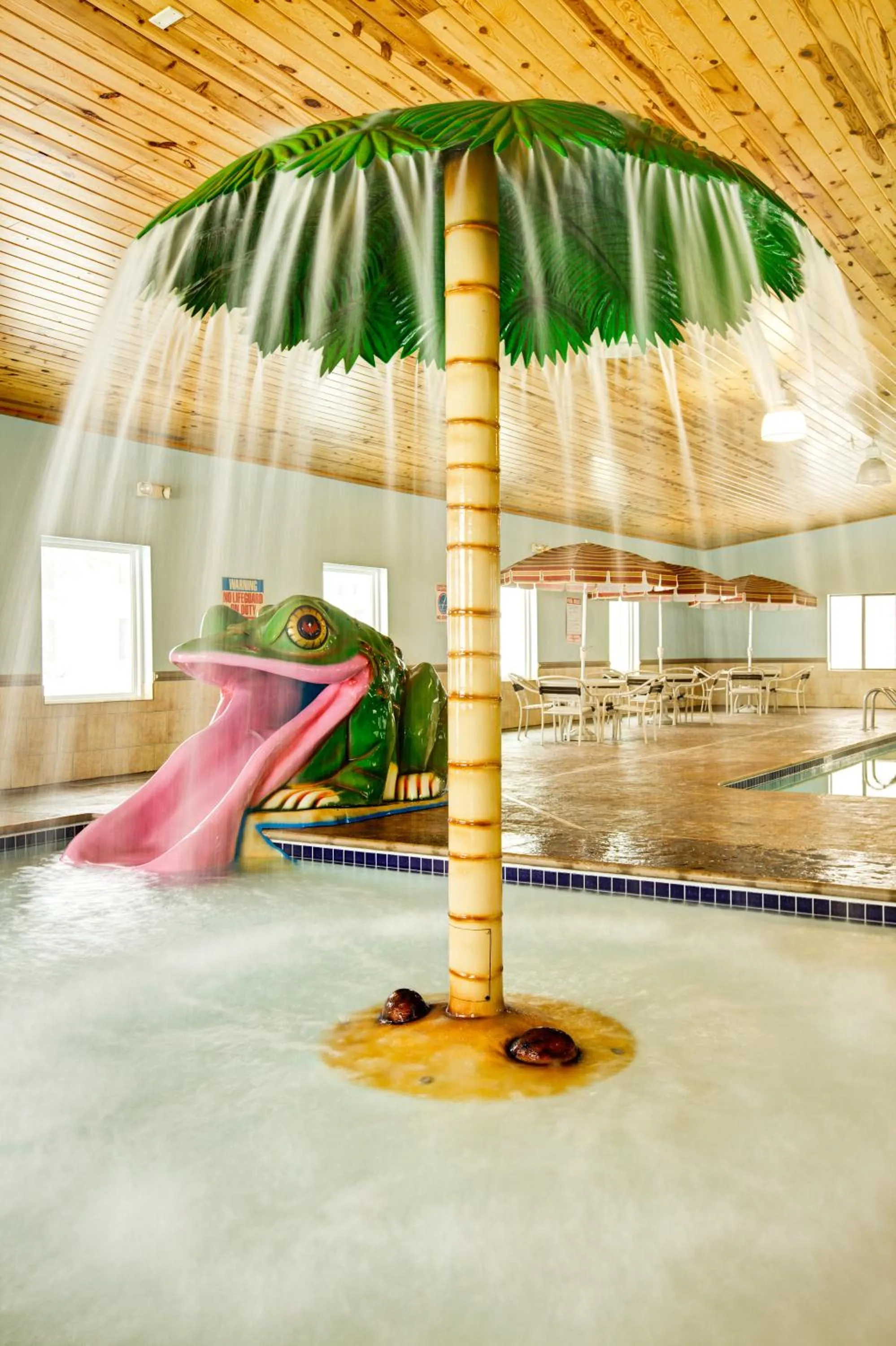 Aqua park in GuestHouse Inn & Suites Rochester