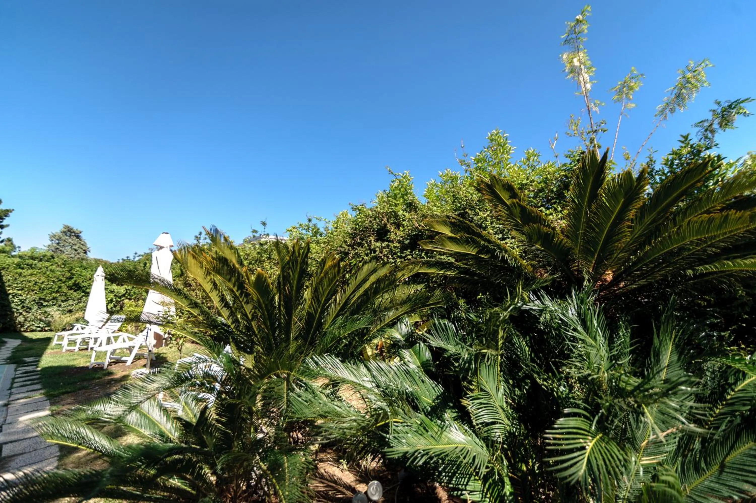 Garden in Suite House L'Isola Che Non C'è