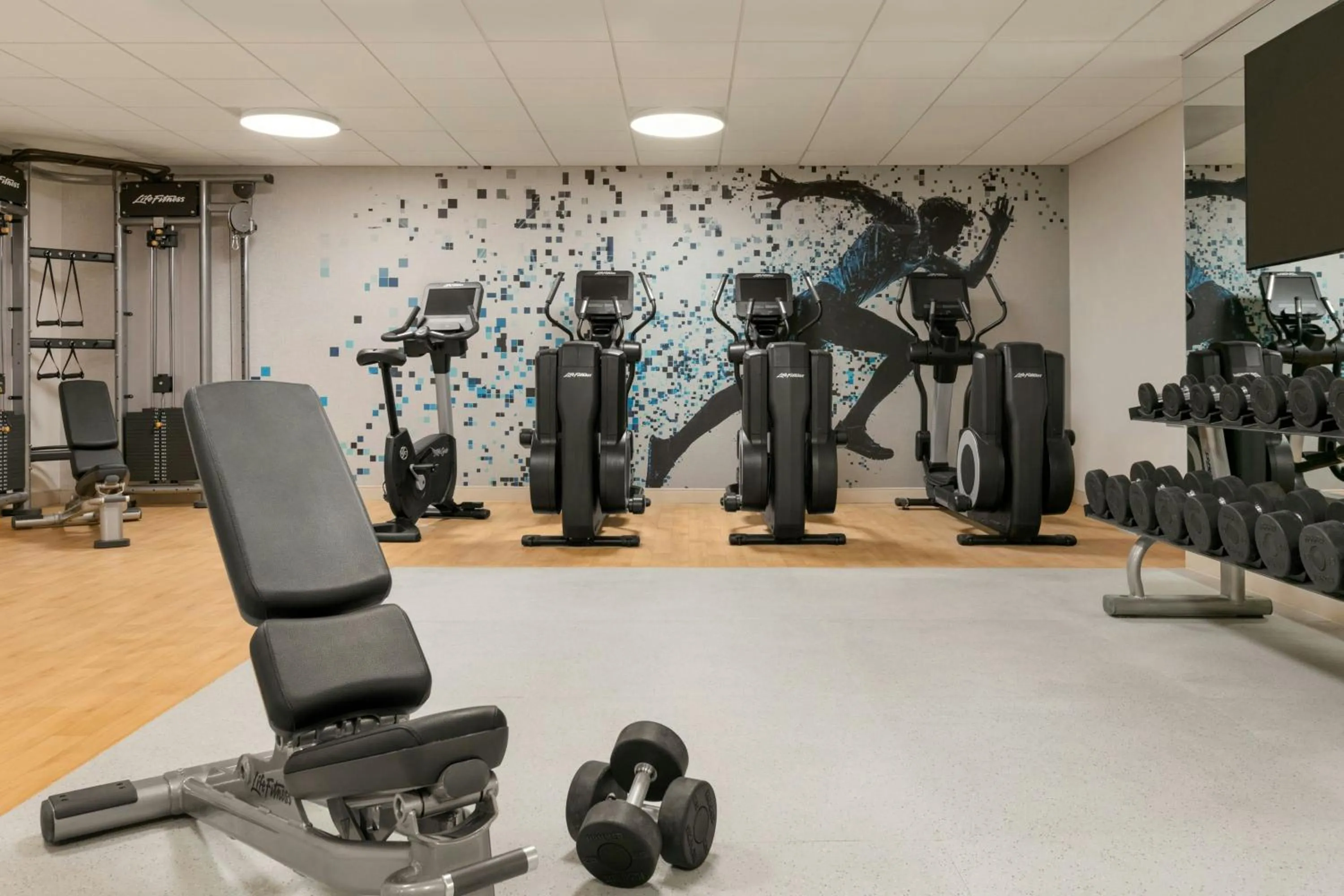Fitness centre/facilities in Sheraton Raleigh Hotel