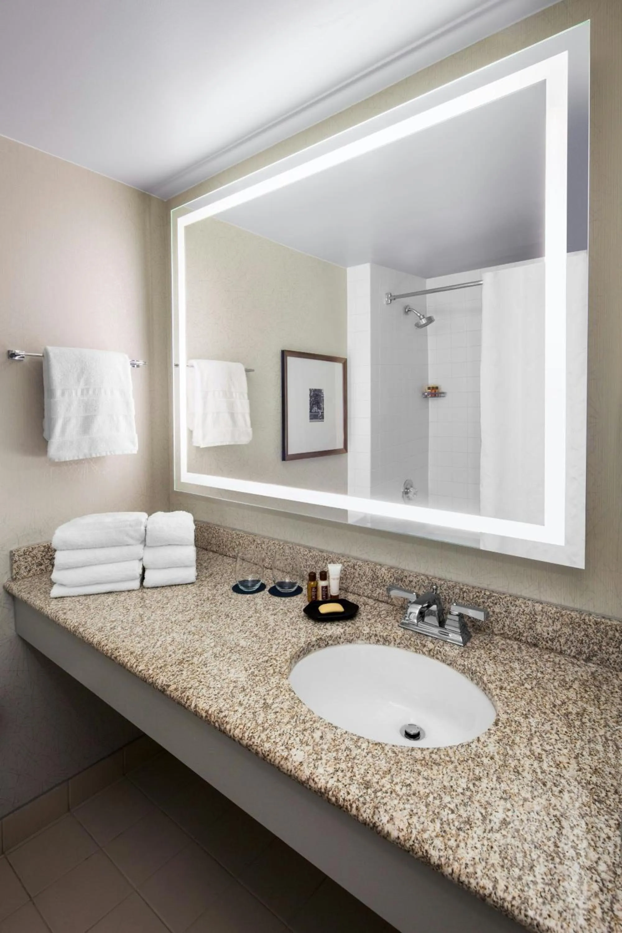 Bathroom in Sheraton Raleigh Hotel