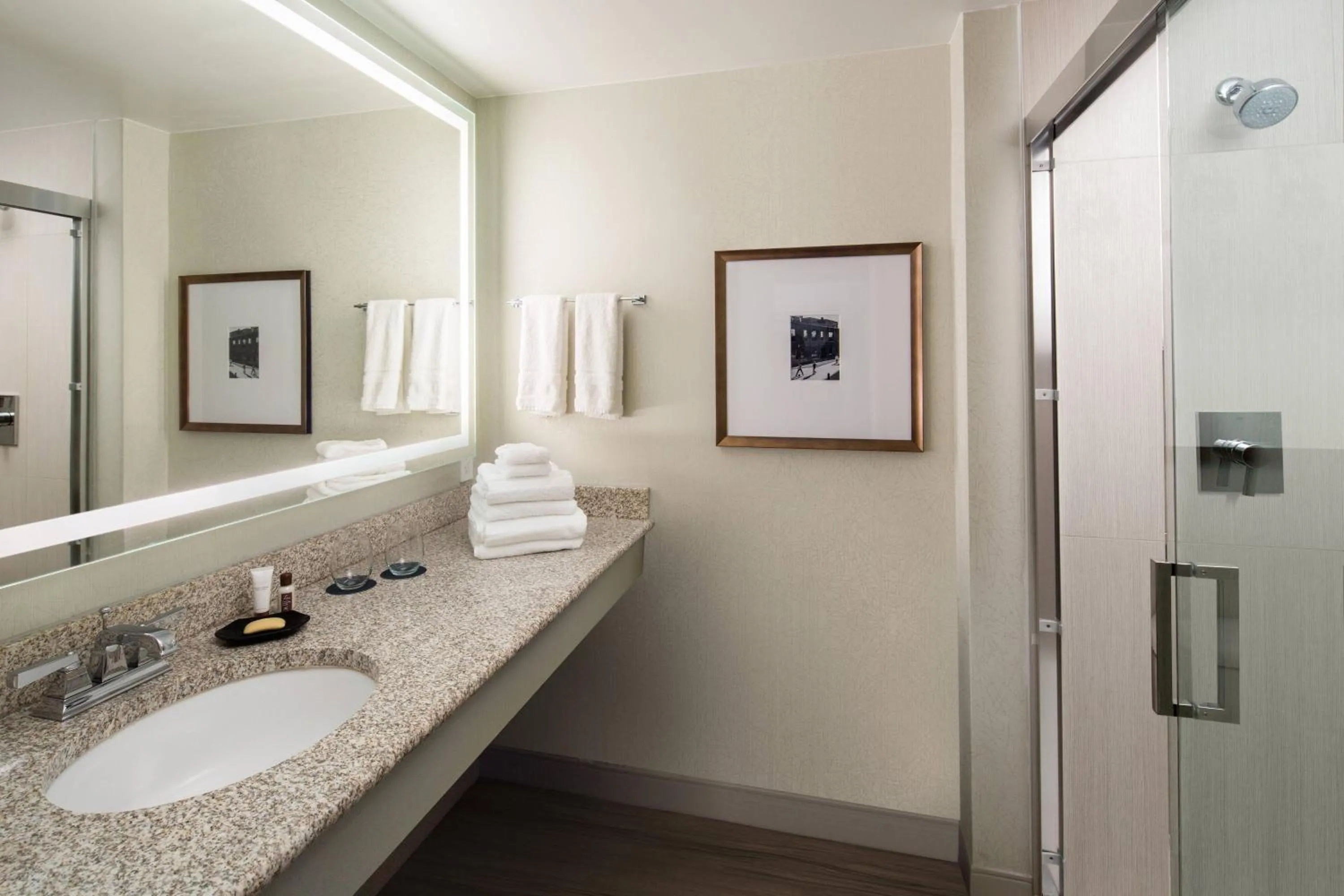 Bathroom in Sheraton Raleigh Hotel