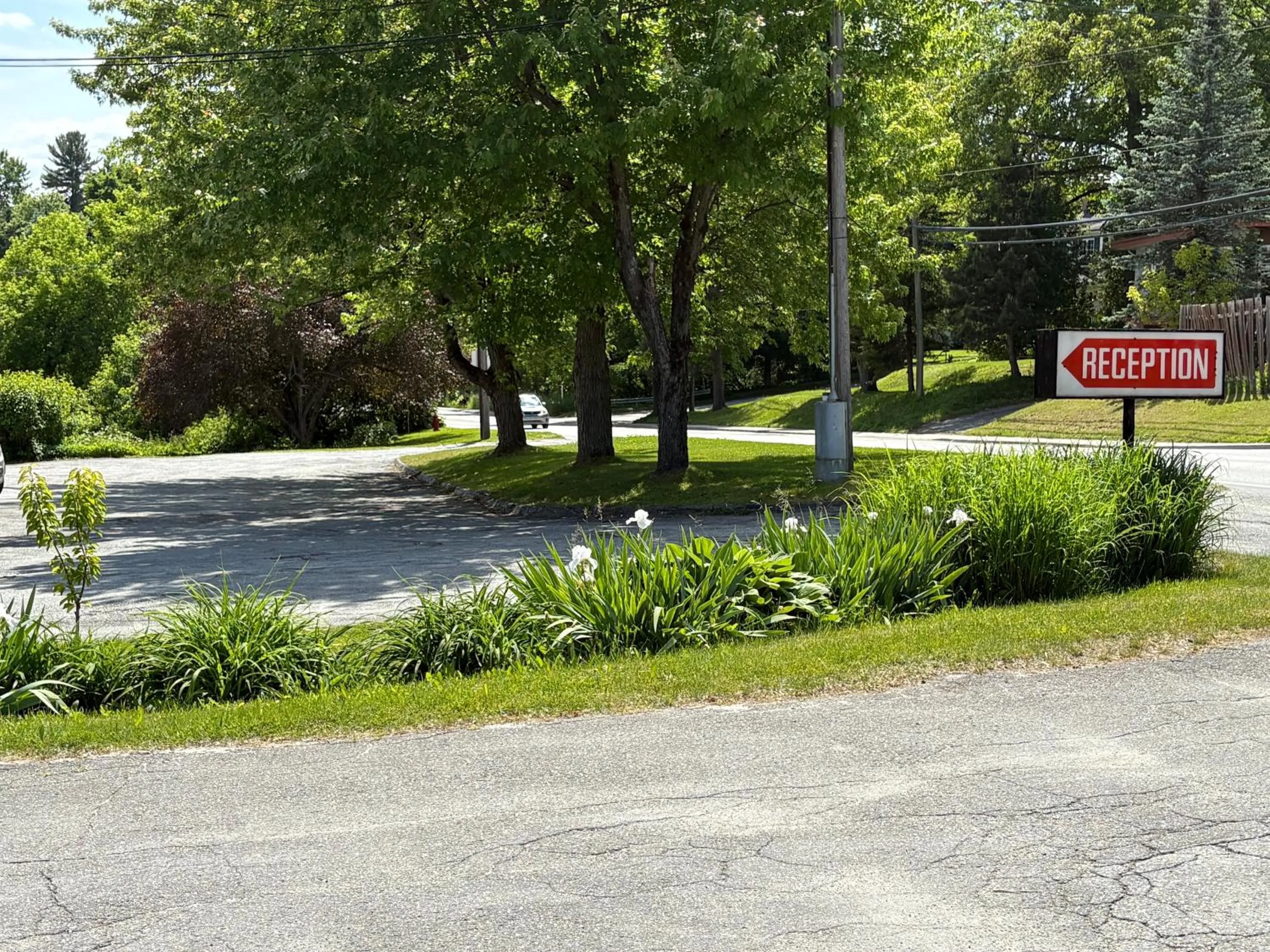 Natural landscape in Motel & Hotel La Paysanne