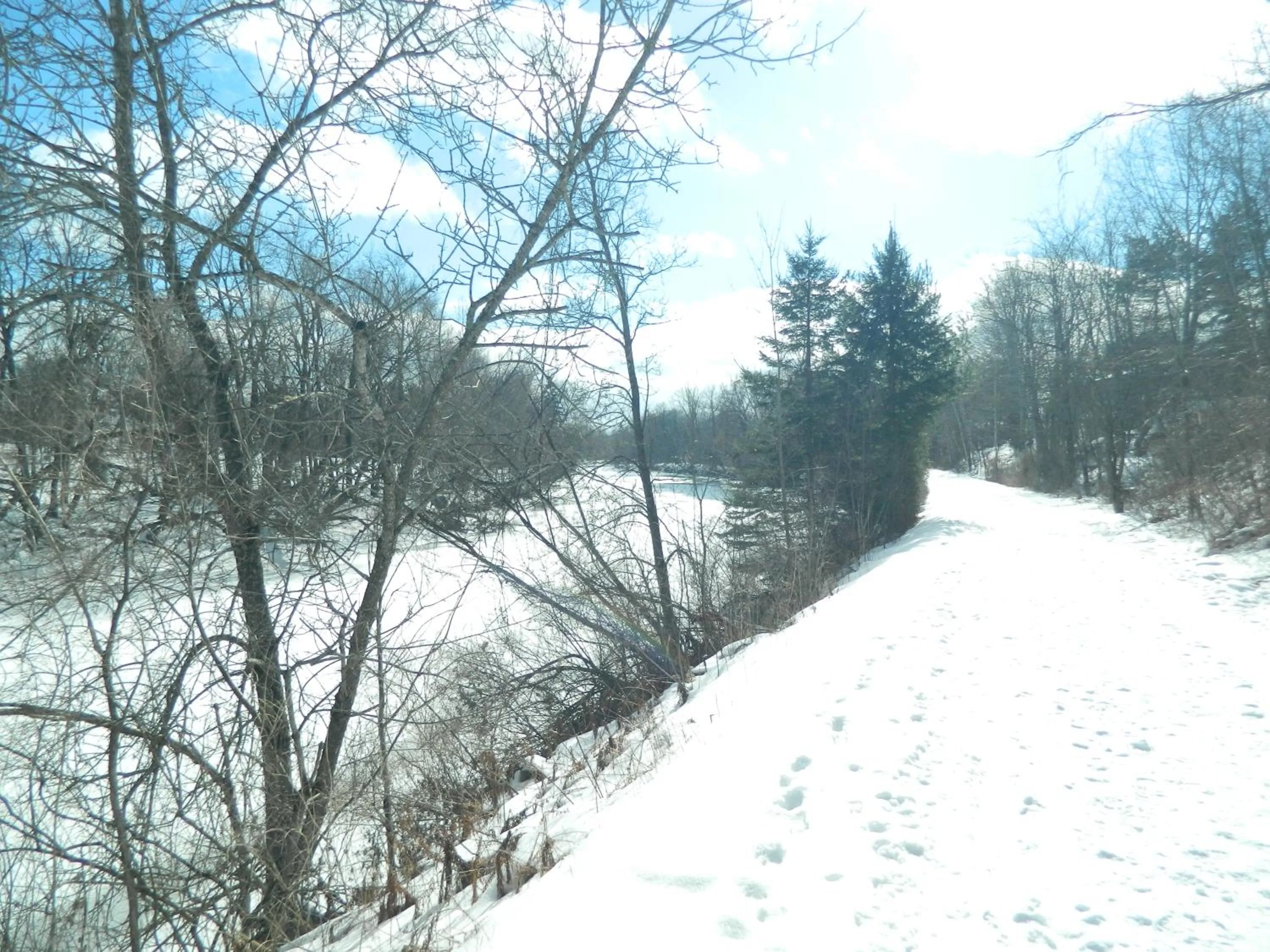 Natural landscape in Motel & Hotel La Paysanne