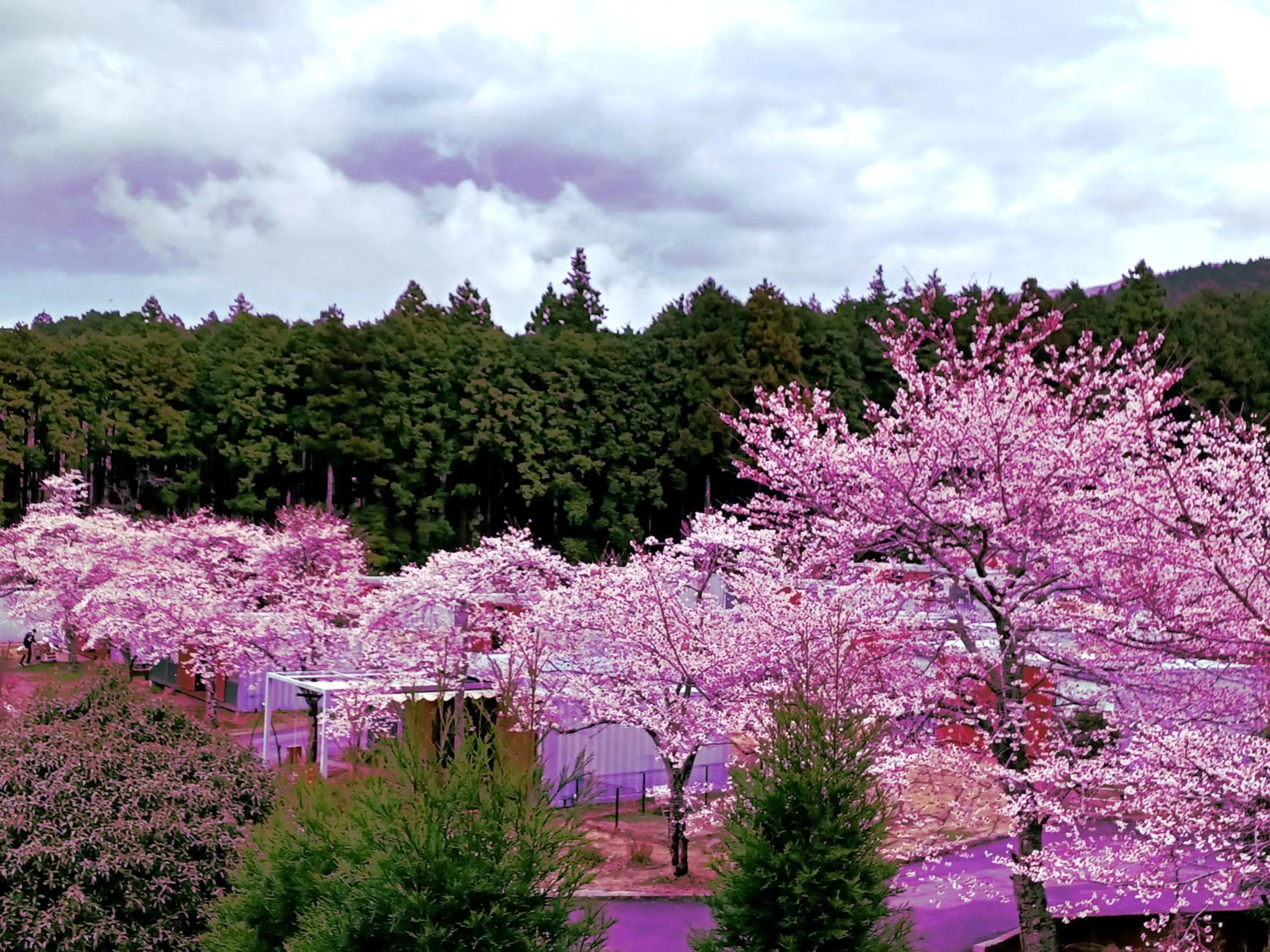 Property building in Mt Fuji View Villa Fujino Kirameki Fujigotemba