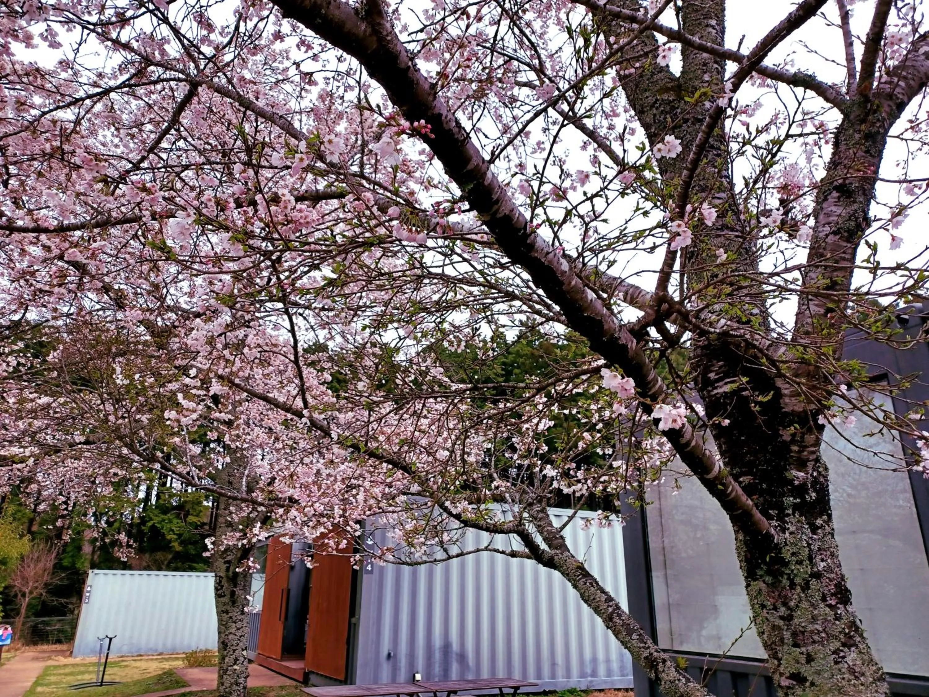 Mt Fuji View Villa Fujino Kirameki Fujigotemba