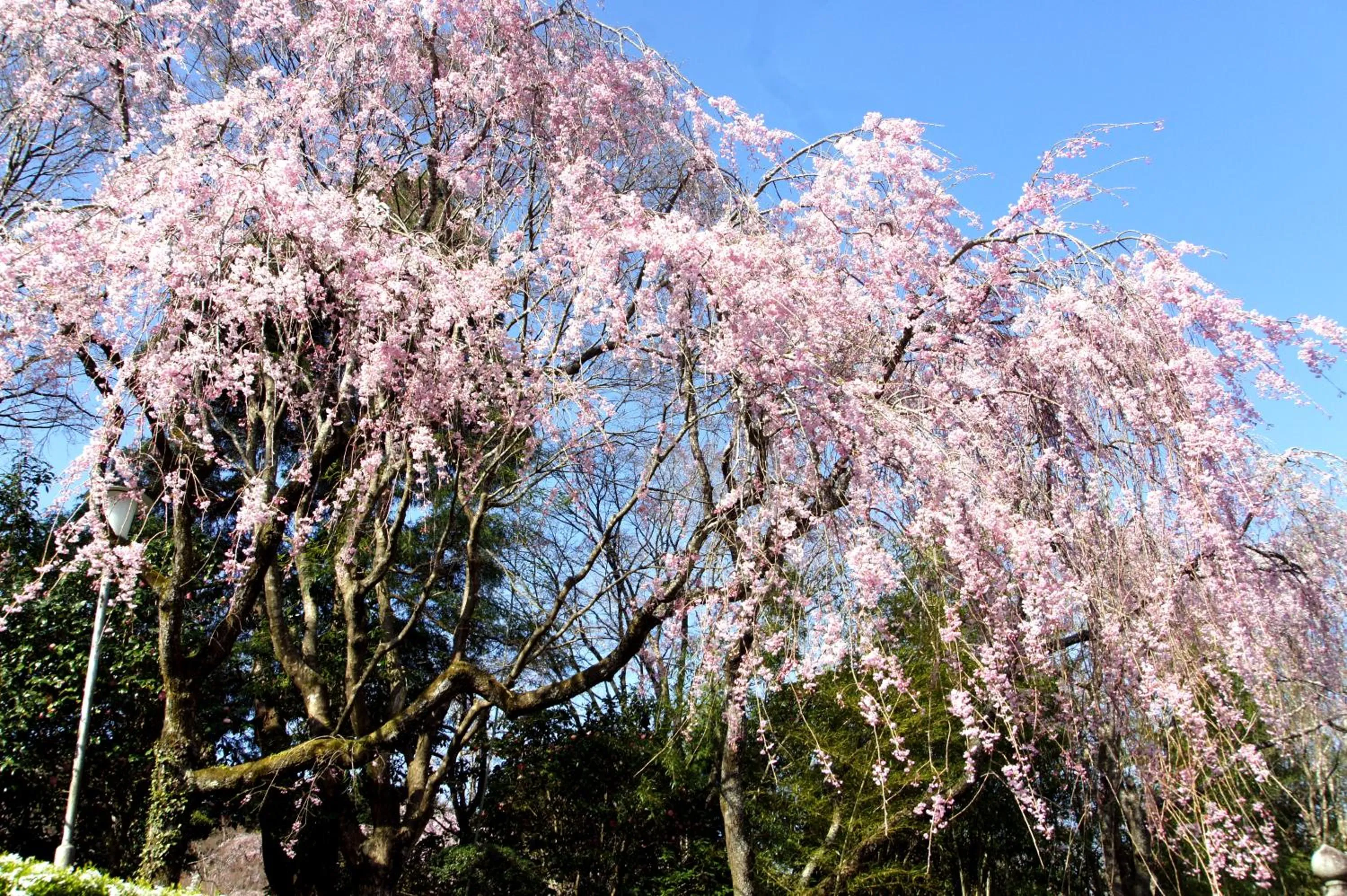 Mt Fuji View Villa Fujino Kirameki Fujigotemba
