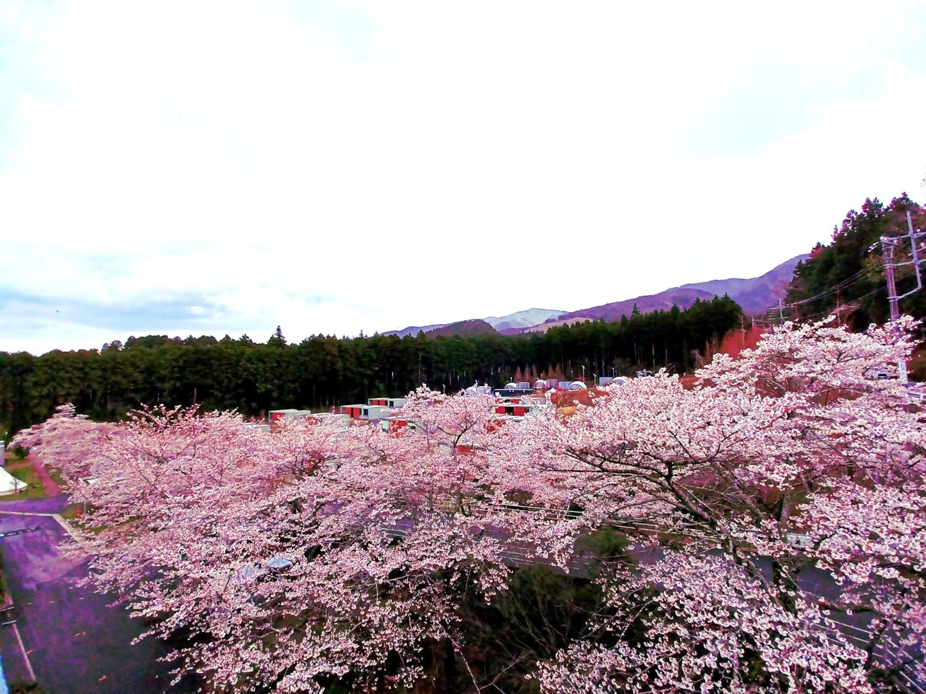 Spring in Mt Fuji View Villa Fujino Kirameki Fujigotemba