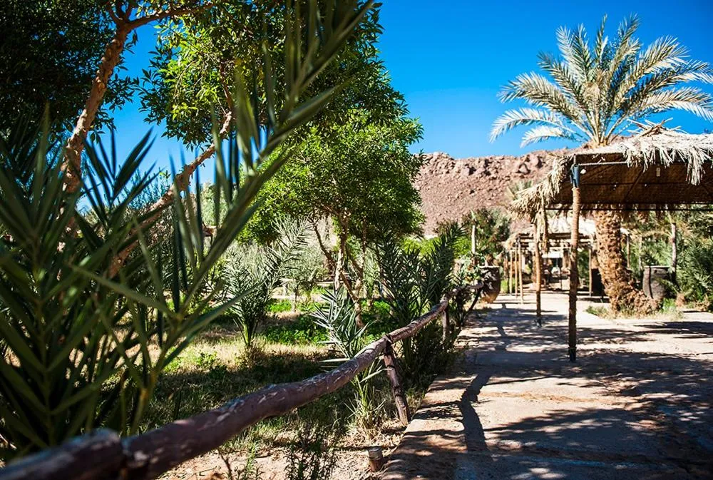 Garden view in Hotel Bab Rimal - Your Foum Zguid Escape