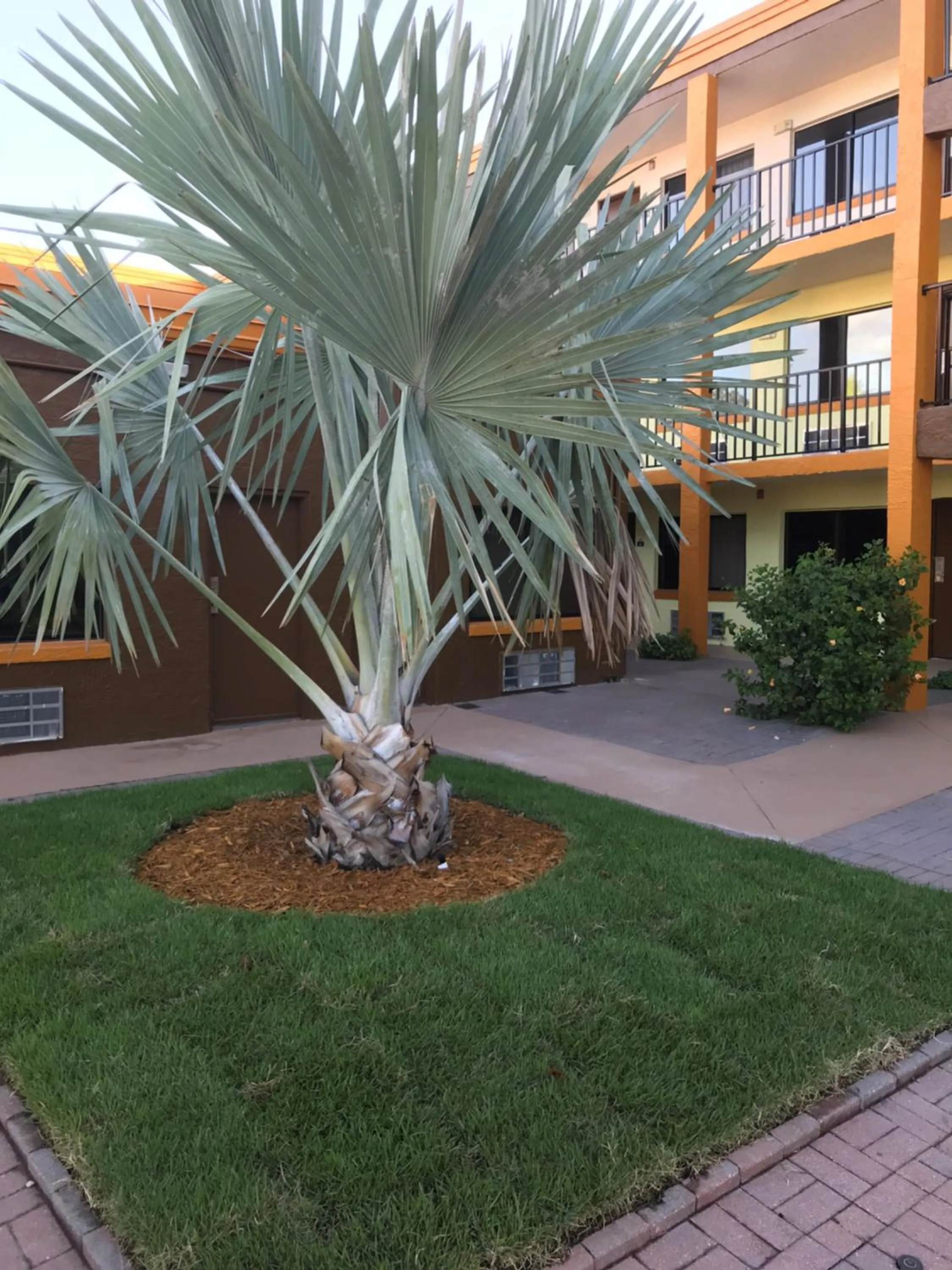 View (from property/room) in Days Inn by Wyndham N Orlando/Casselberry