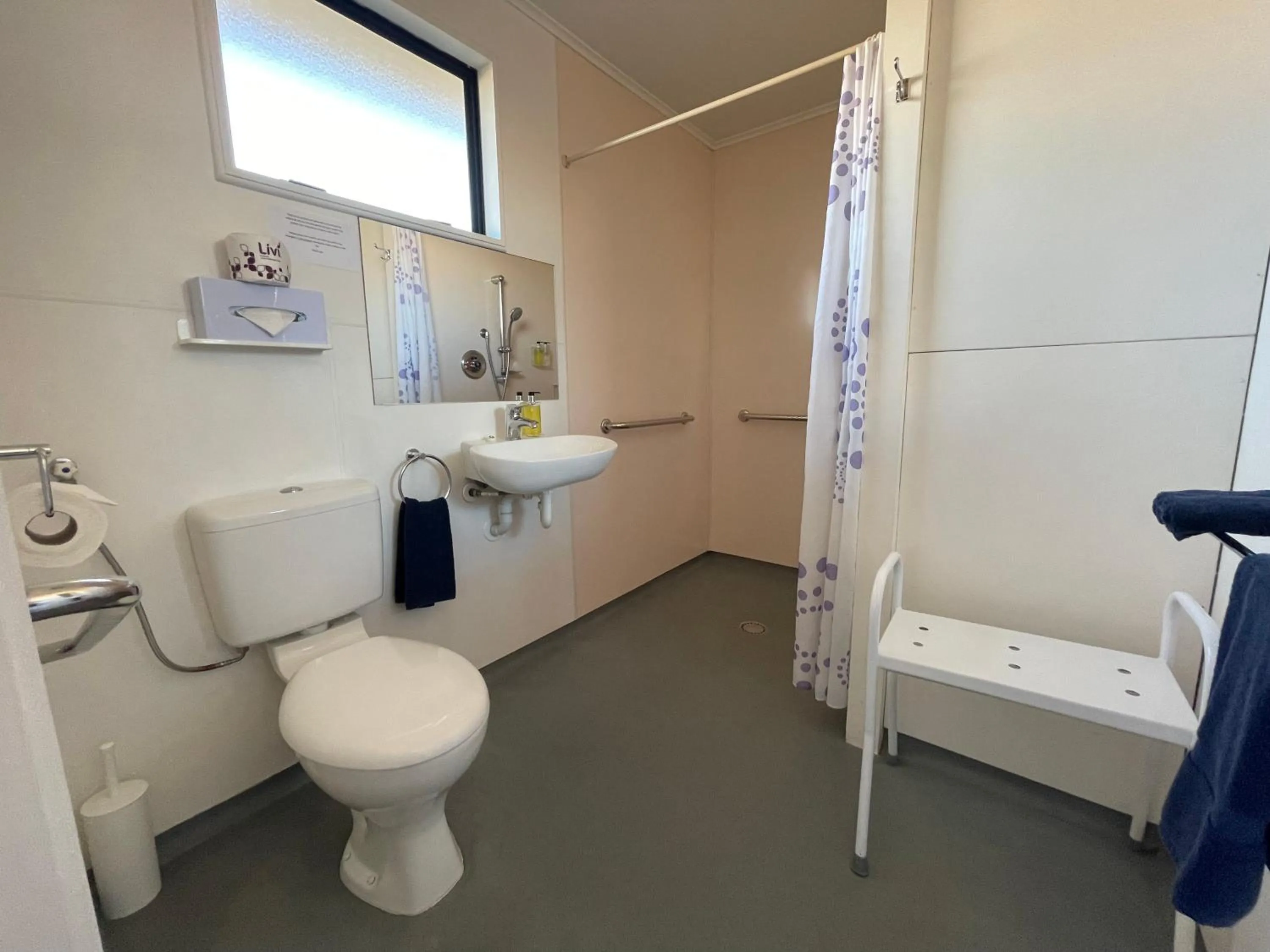 Bathroom in Alpine View Motel