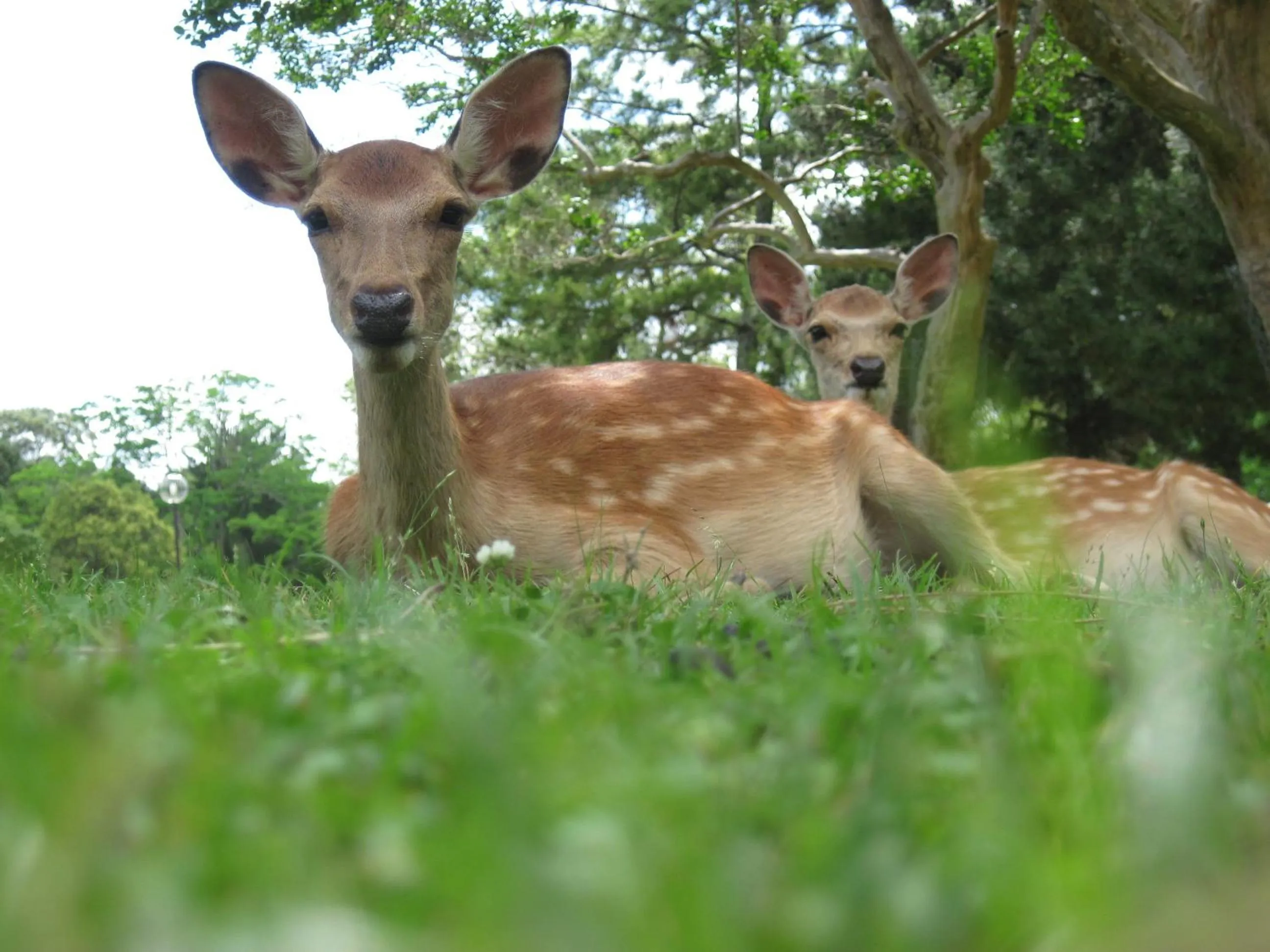 Area and facilities in Kasuga Hotel