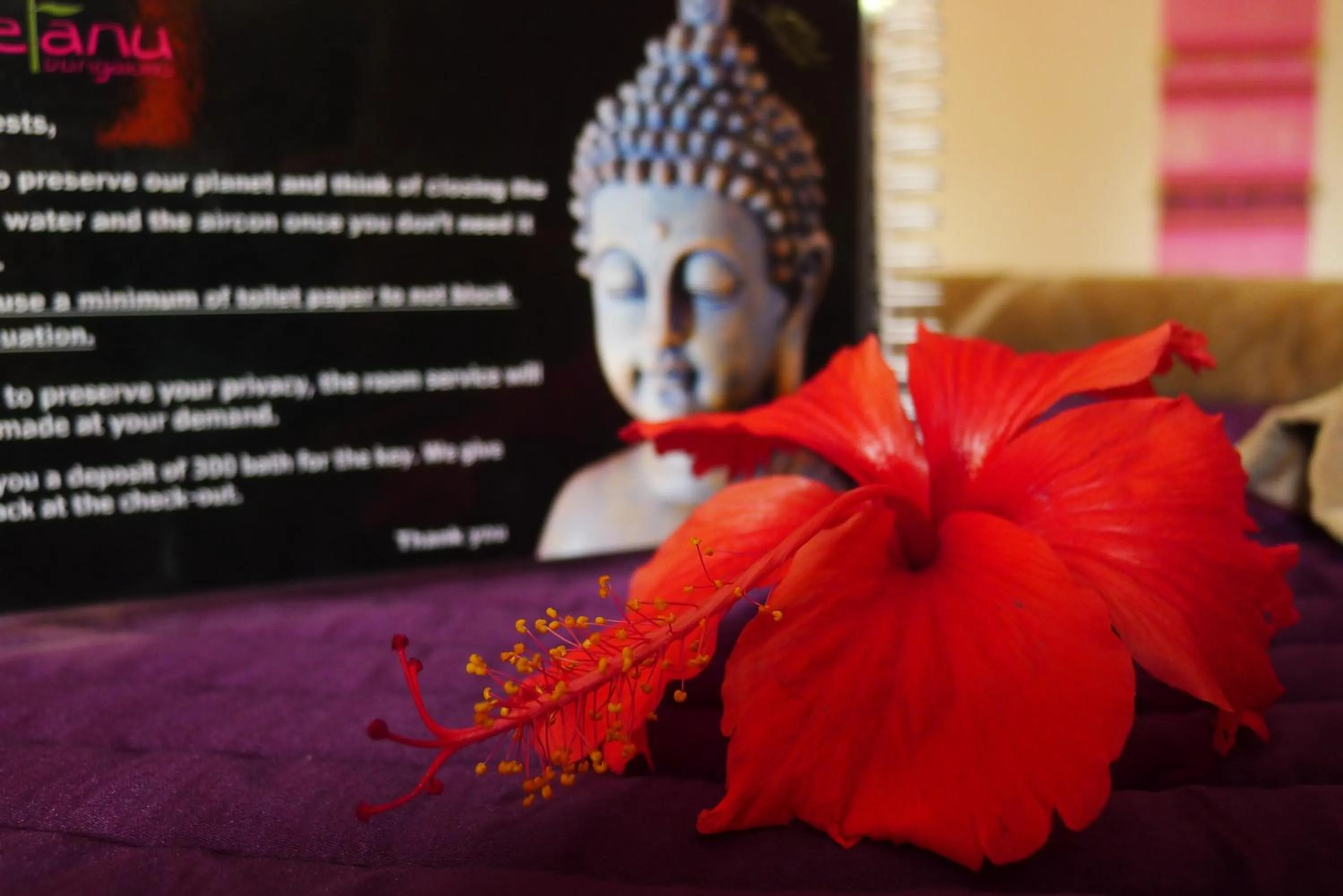 Other in Seetanu Bungalows