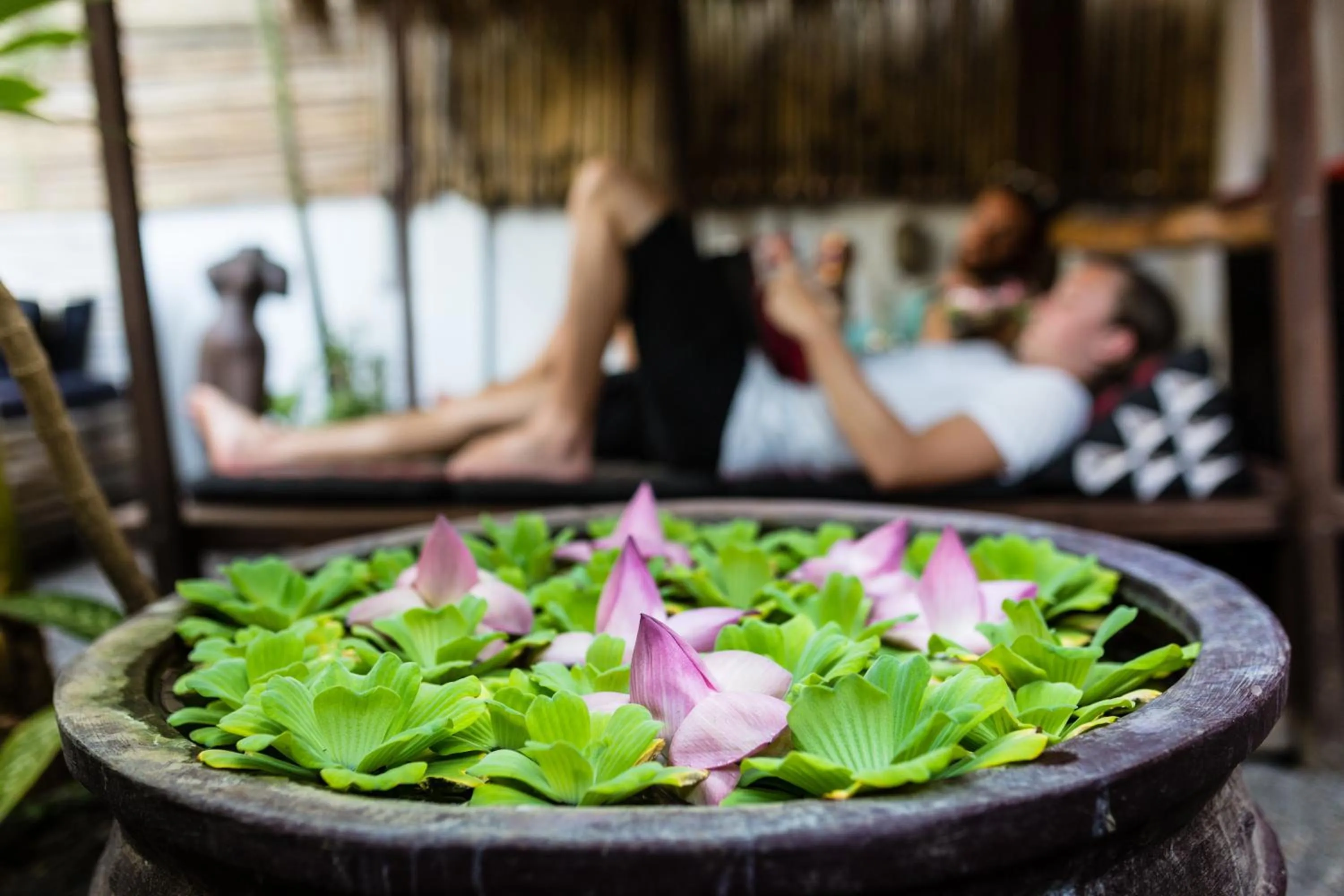 Garden in Babel Siem Reap Guesthouse