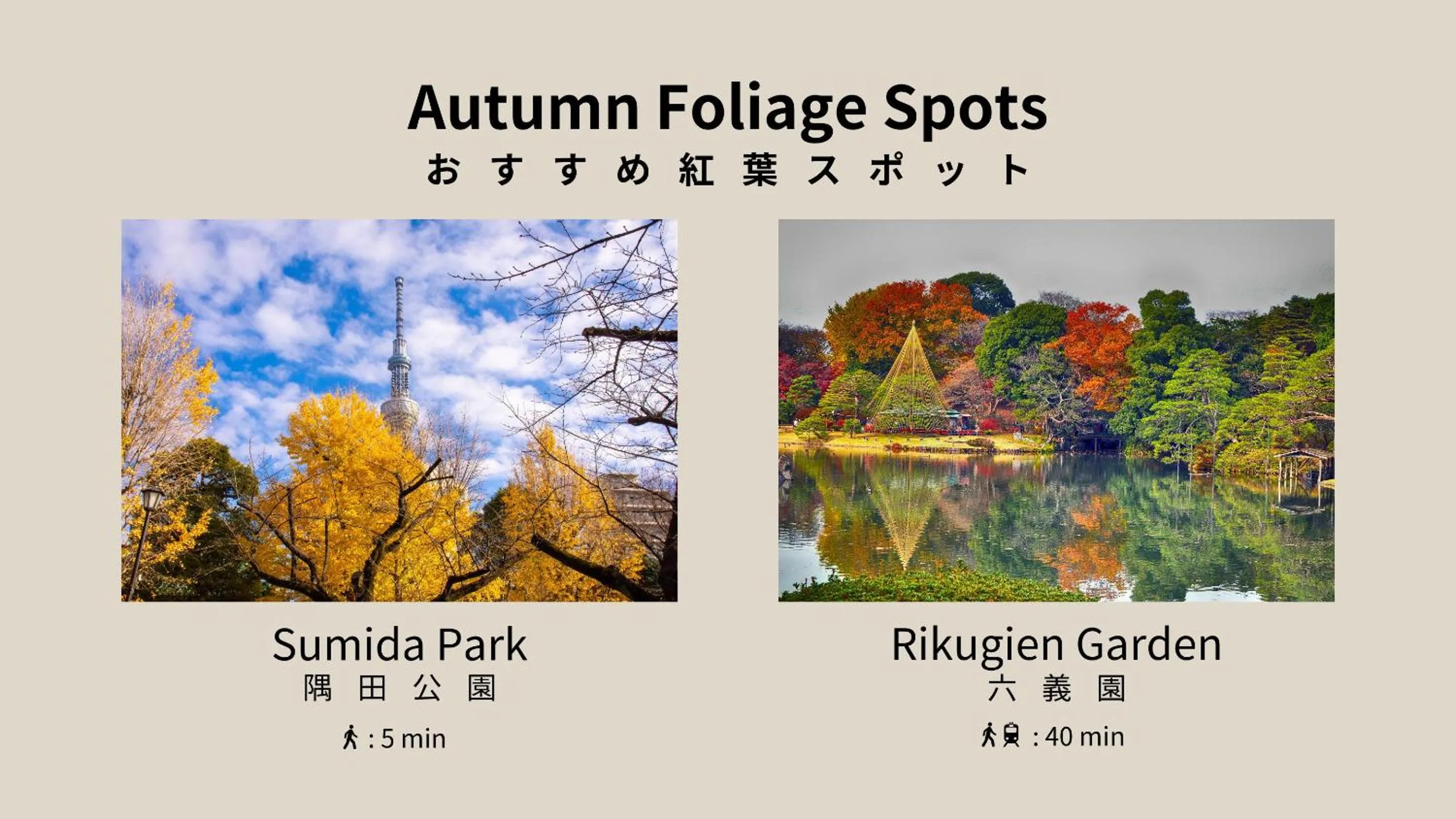 Nearby landmark in Playsis East Tokyo