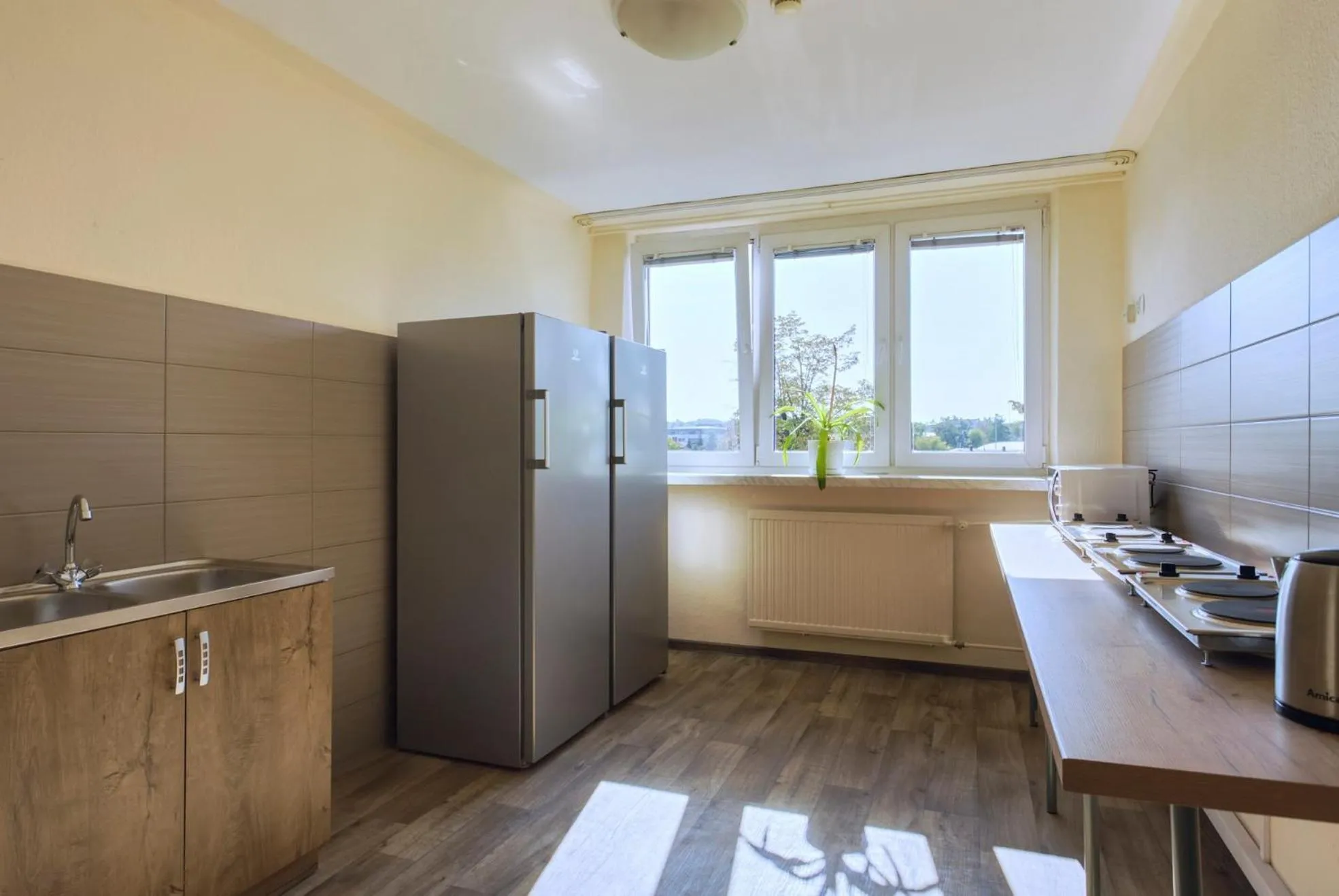 Kitchen or kitchenette in Hotel Alf