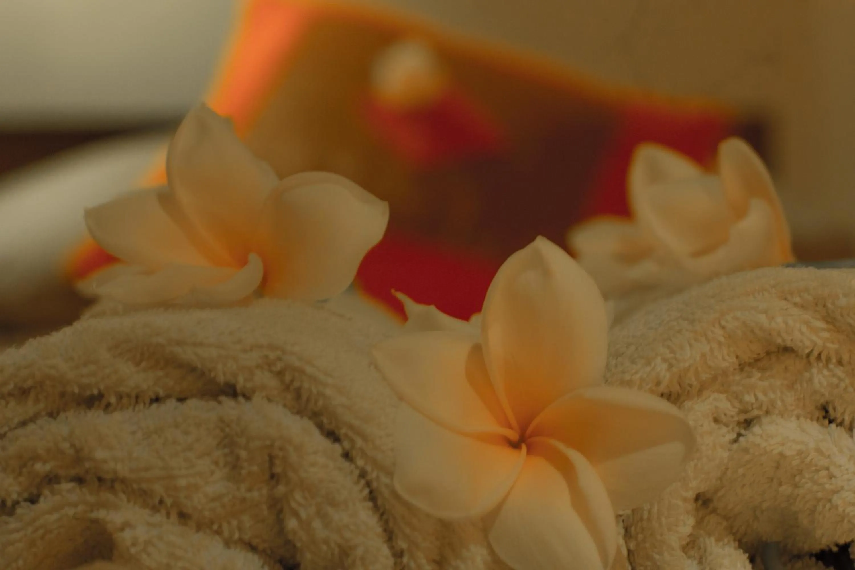 Decorative detail in Bali Asli Lodge by EPS