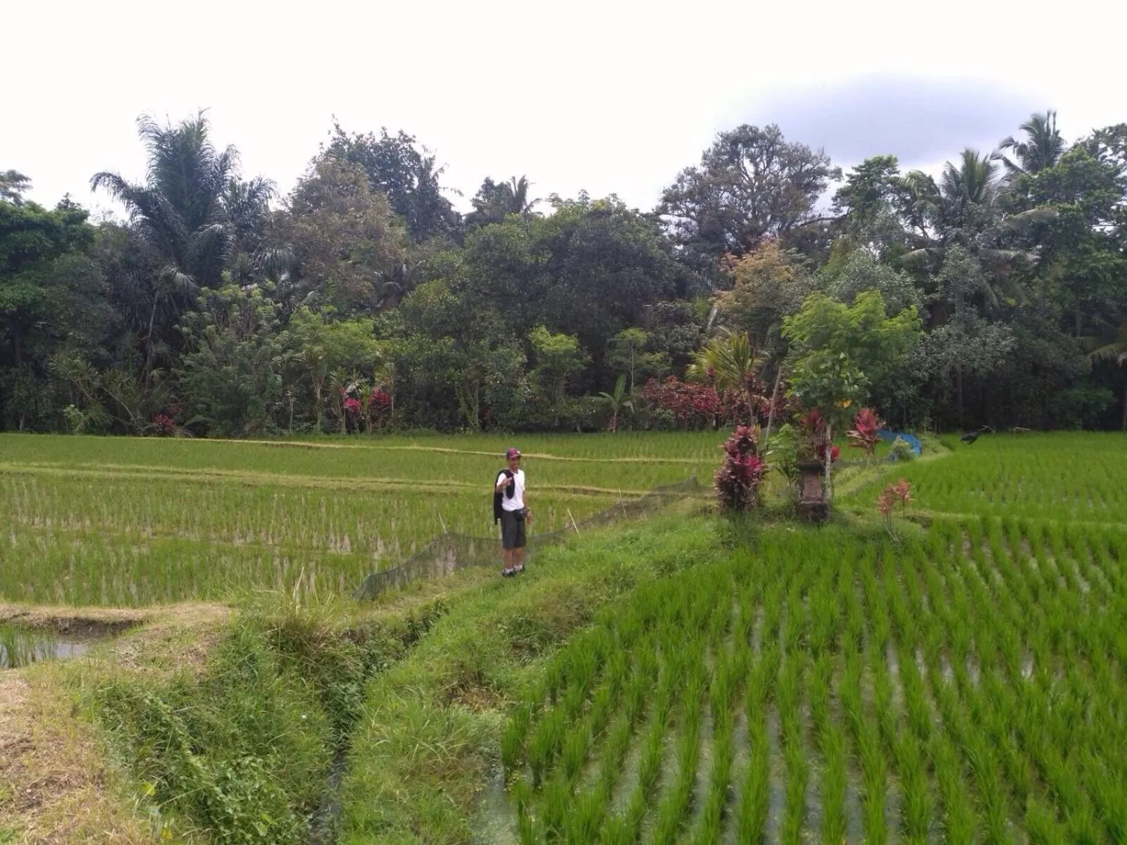 People in Bali Asli Lodge by EPS