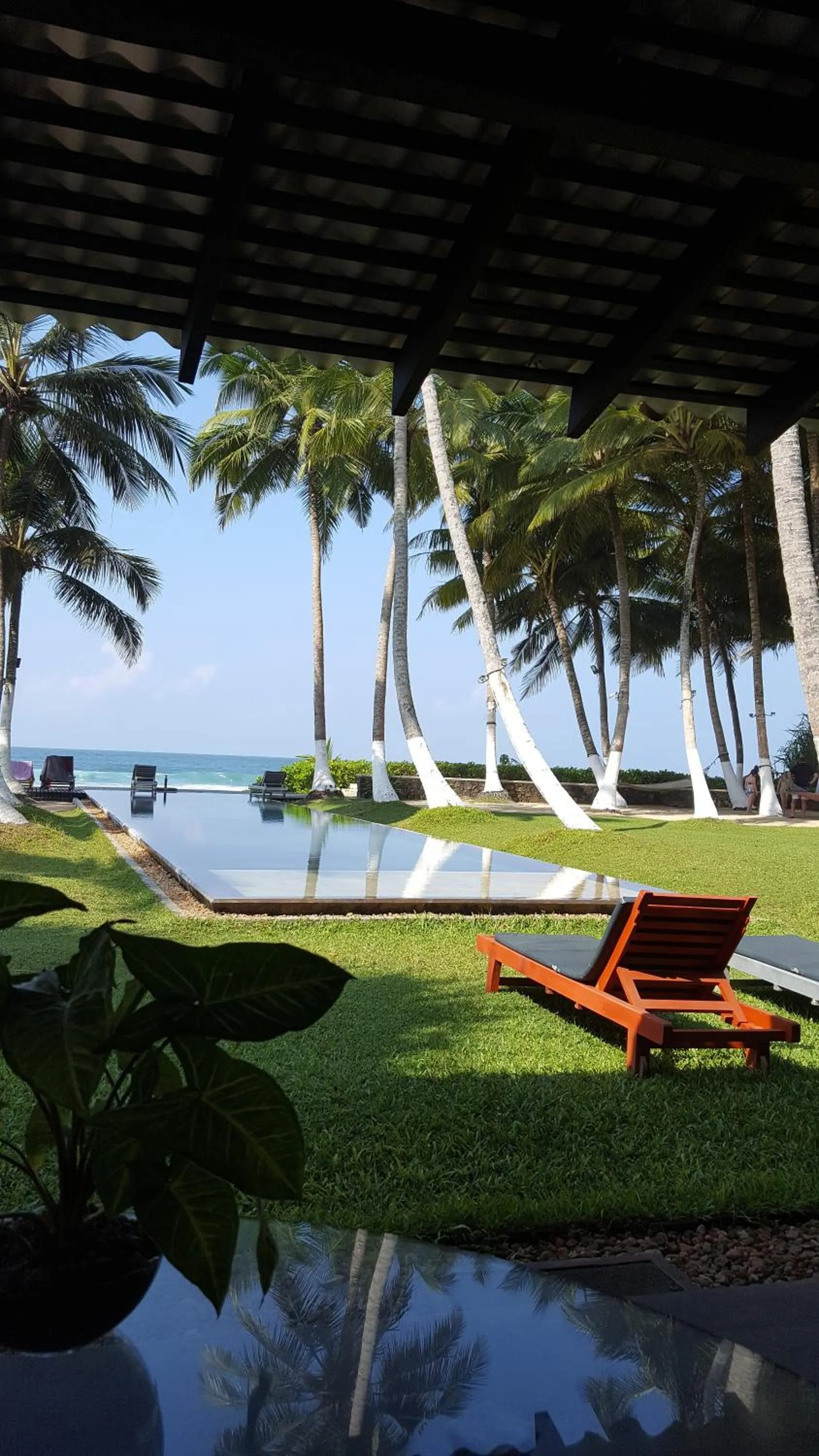 Swimming pool in Apa Villa Thalpe