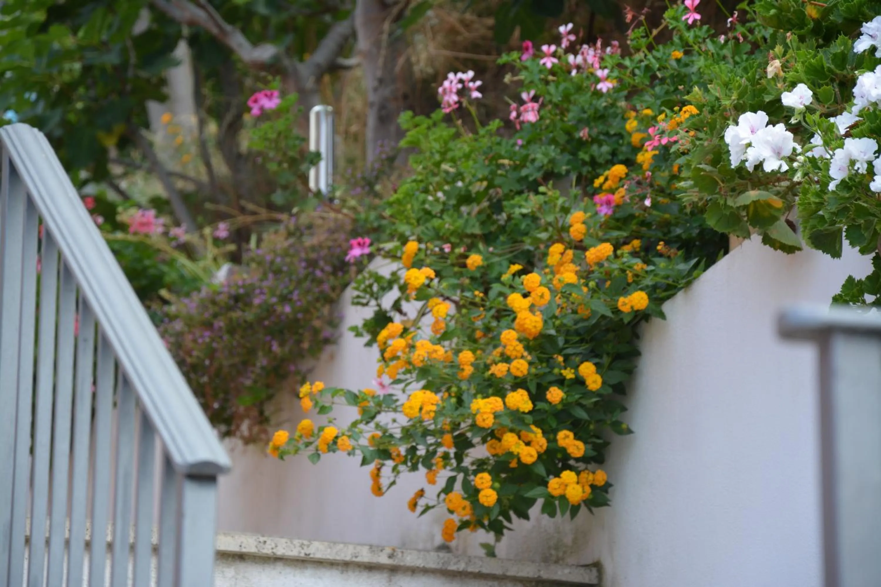 Decorative detail in B&B La Casa Rossa