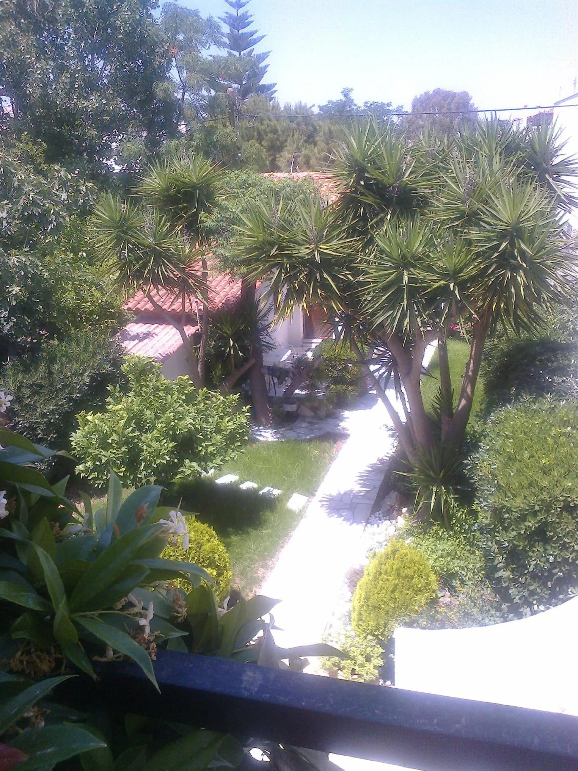 Garden view in Villa Belmar Self-Catered Apartments