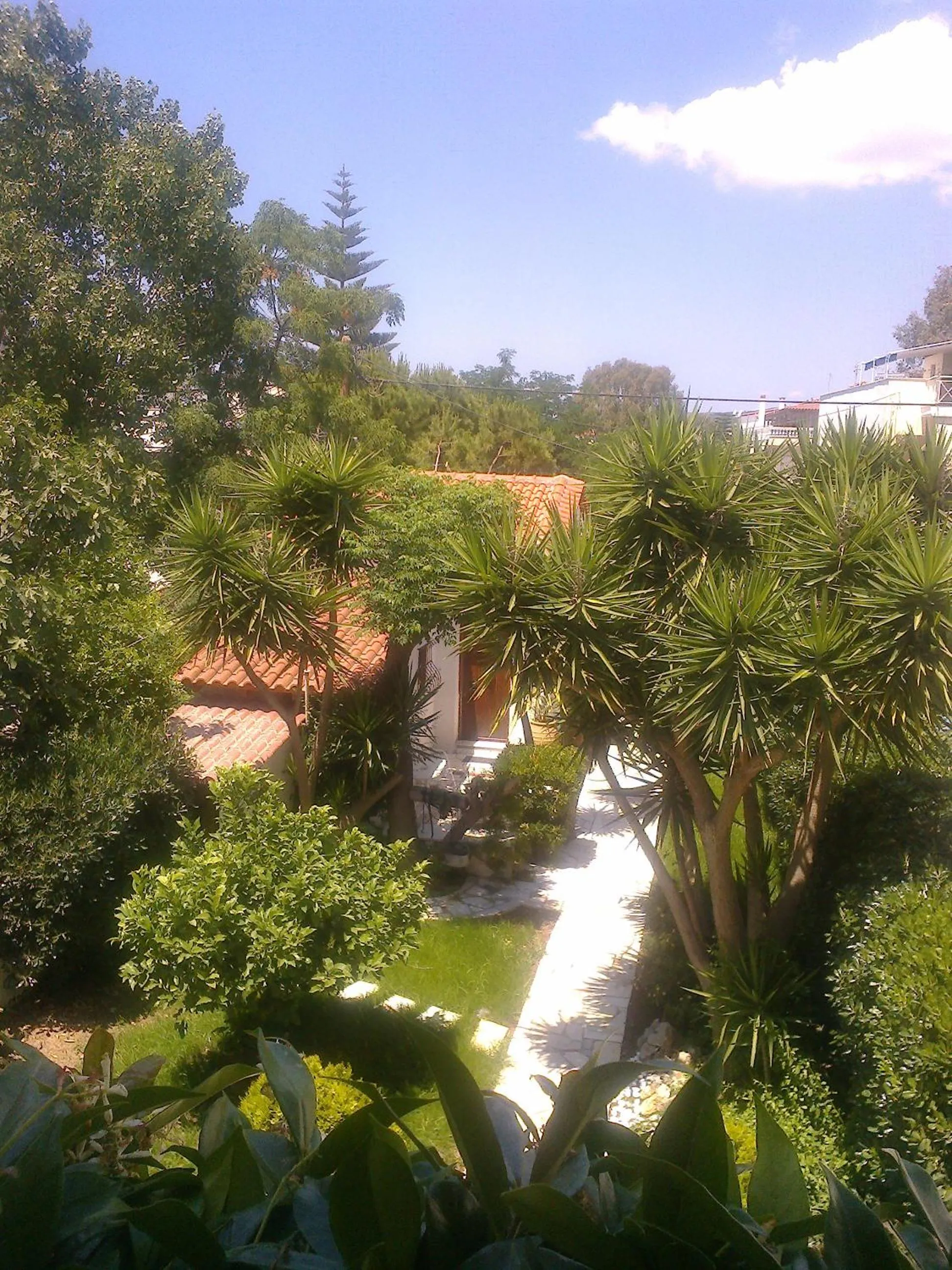 Garden view in Villa Belmar Self-Catered Apartments