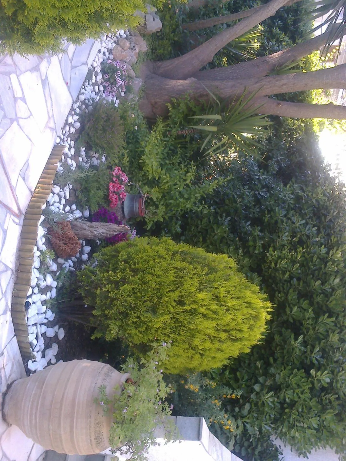 Garden in Villa Belmar Self-Catered Apartments