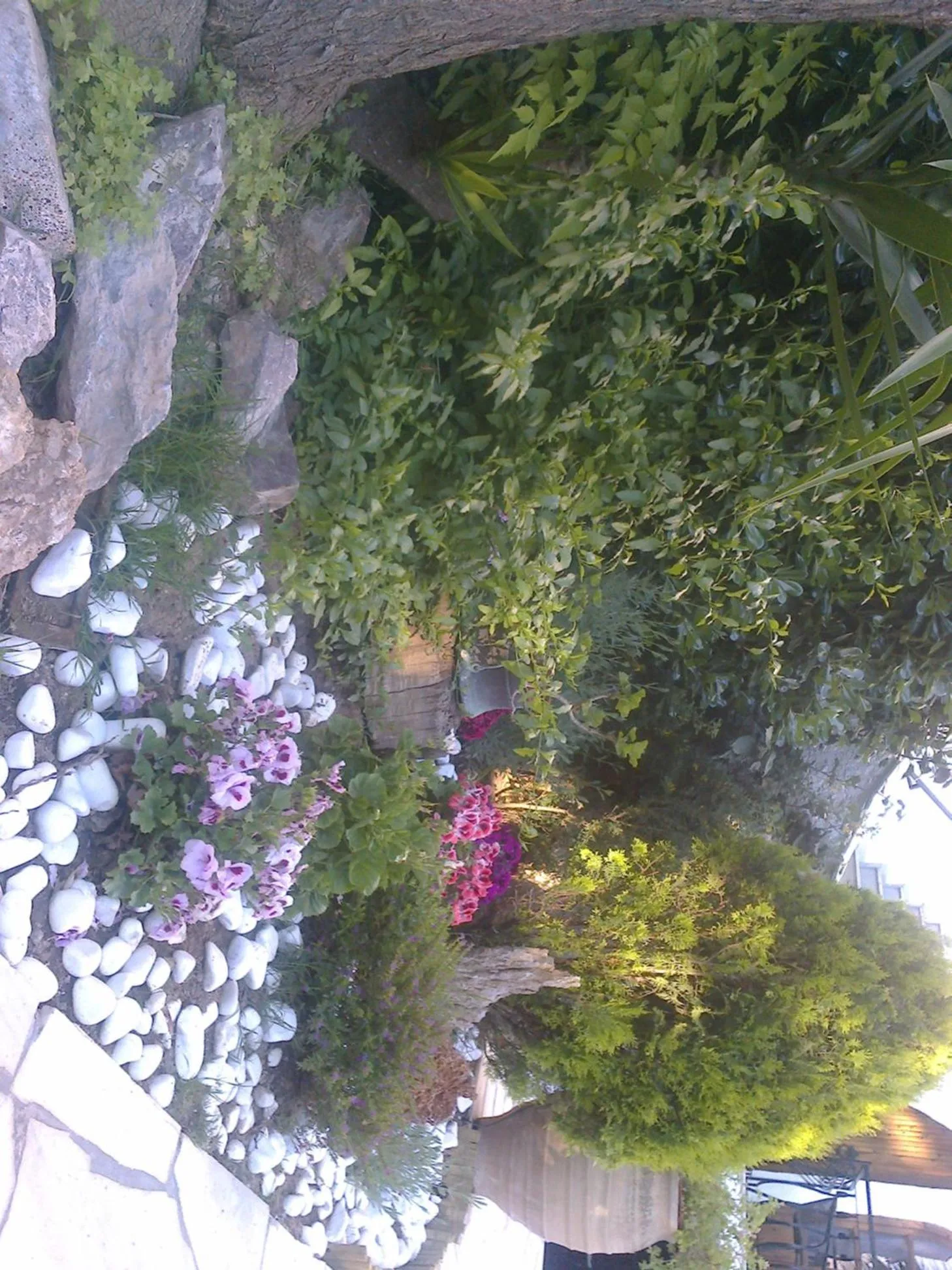 Garden in Villa Belmar Self-Catered Apartments