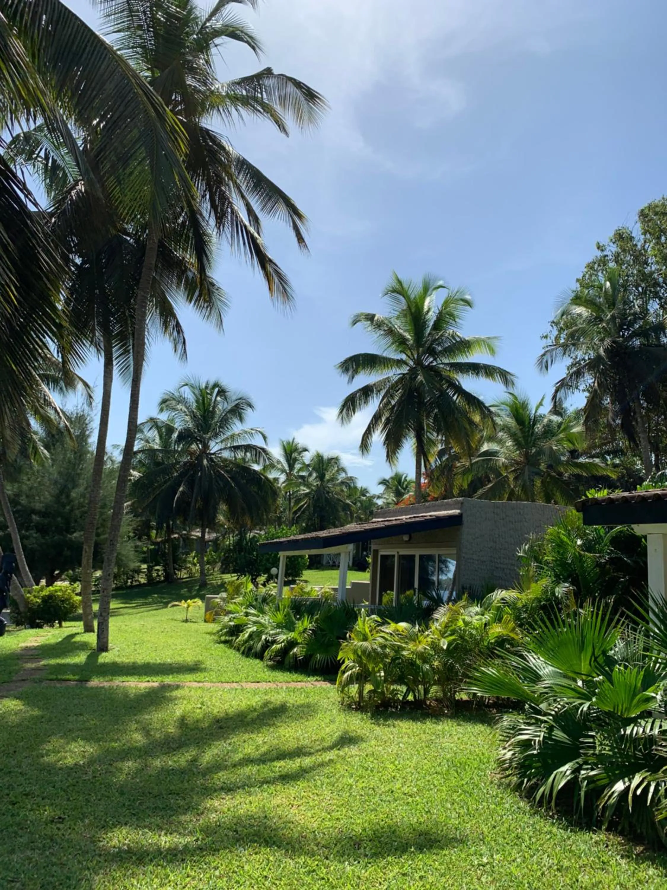 Garden in Hotel Coucoue Lodge
