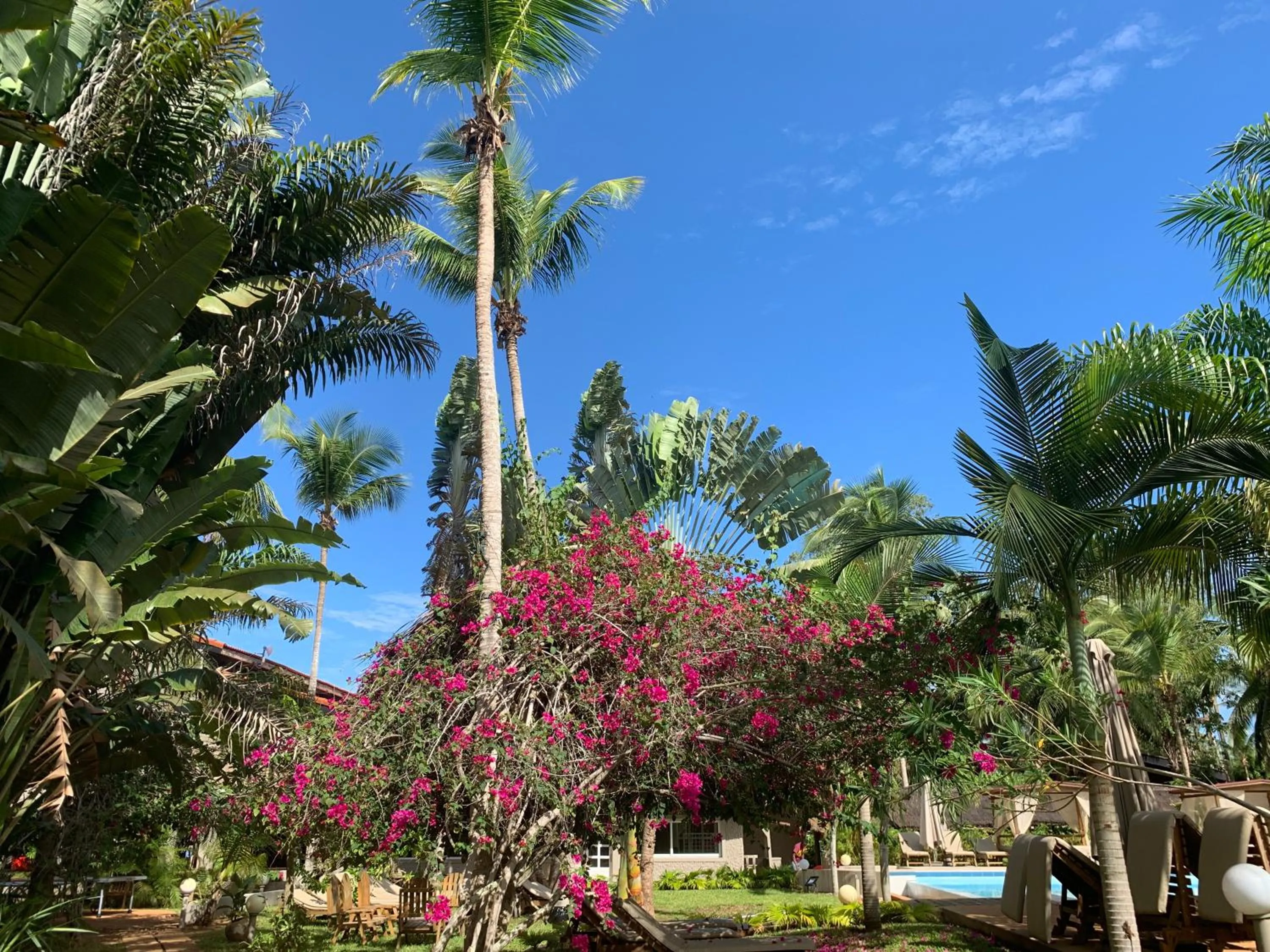 Garden in Hotel Coucoue Lodge