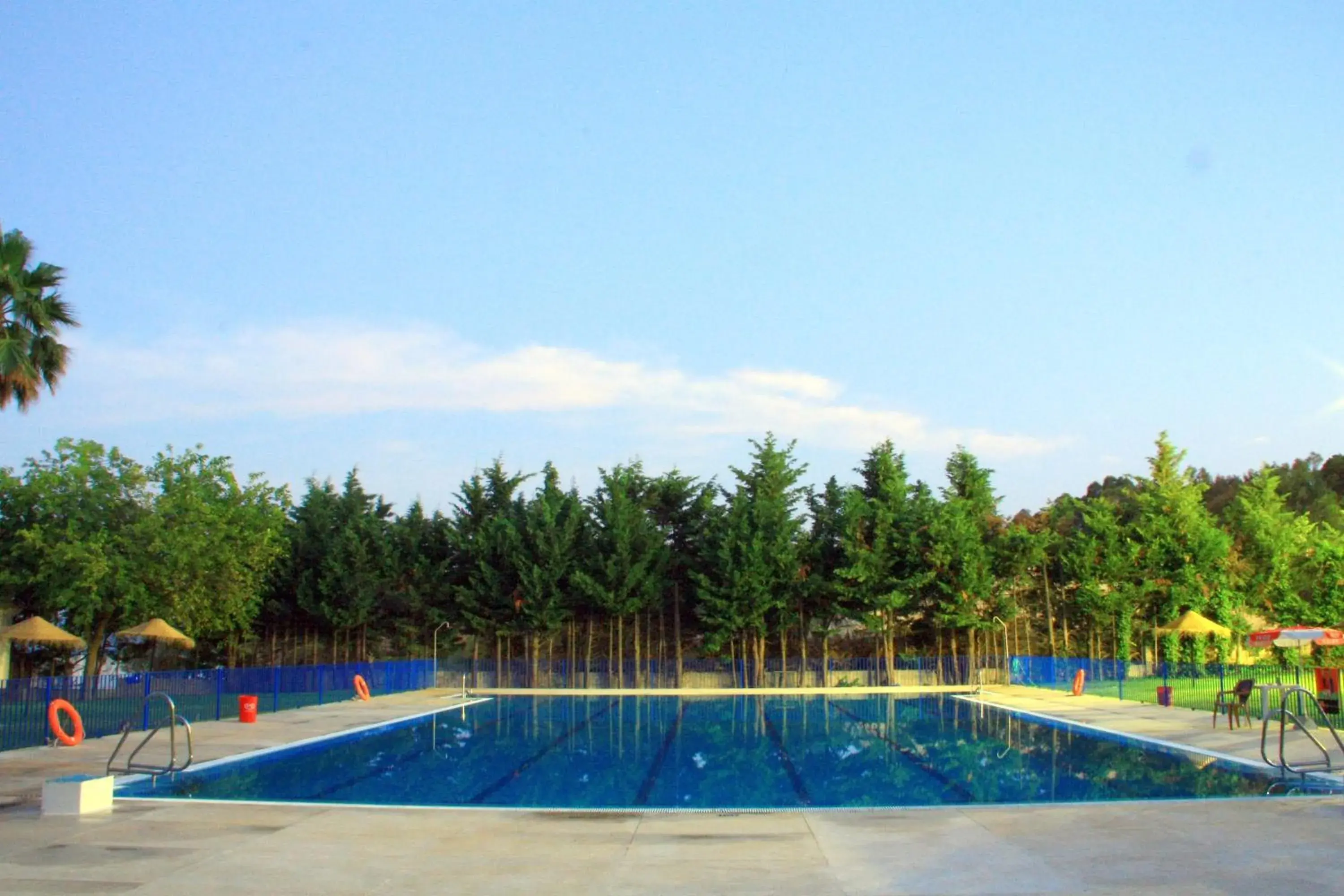 Camping Sierra de las Nieves Camping Sierra de las Nieves