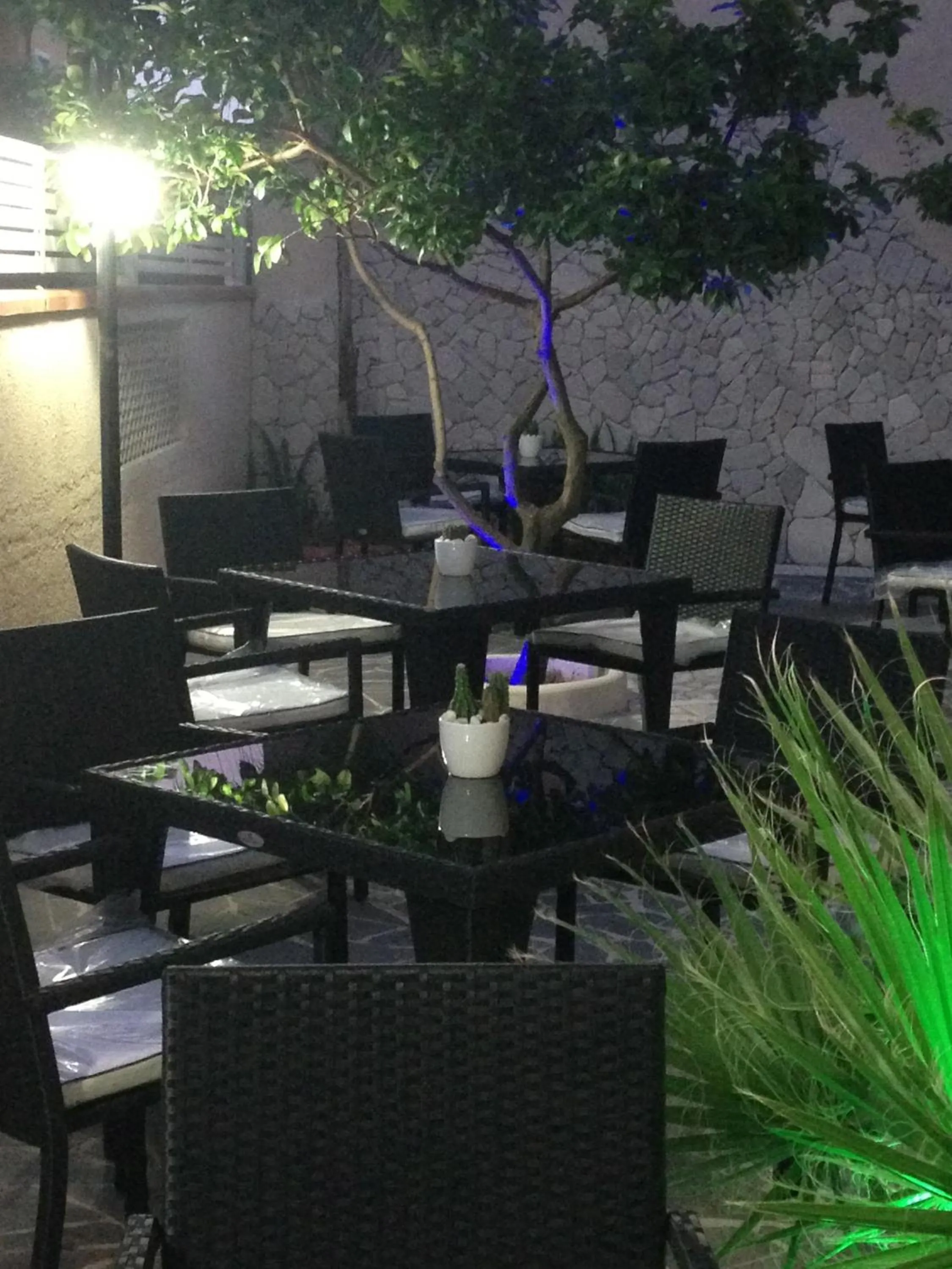 Garden in Hotel Barbieri