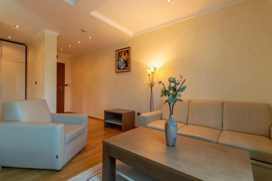 Living room in Ski Hotel