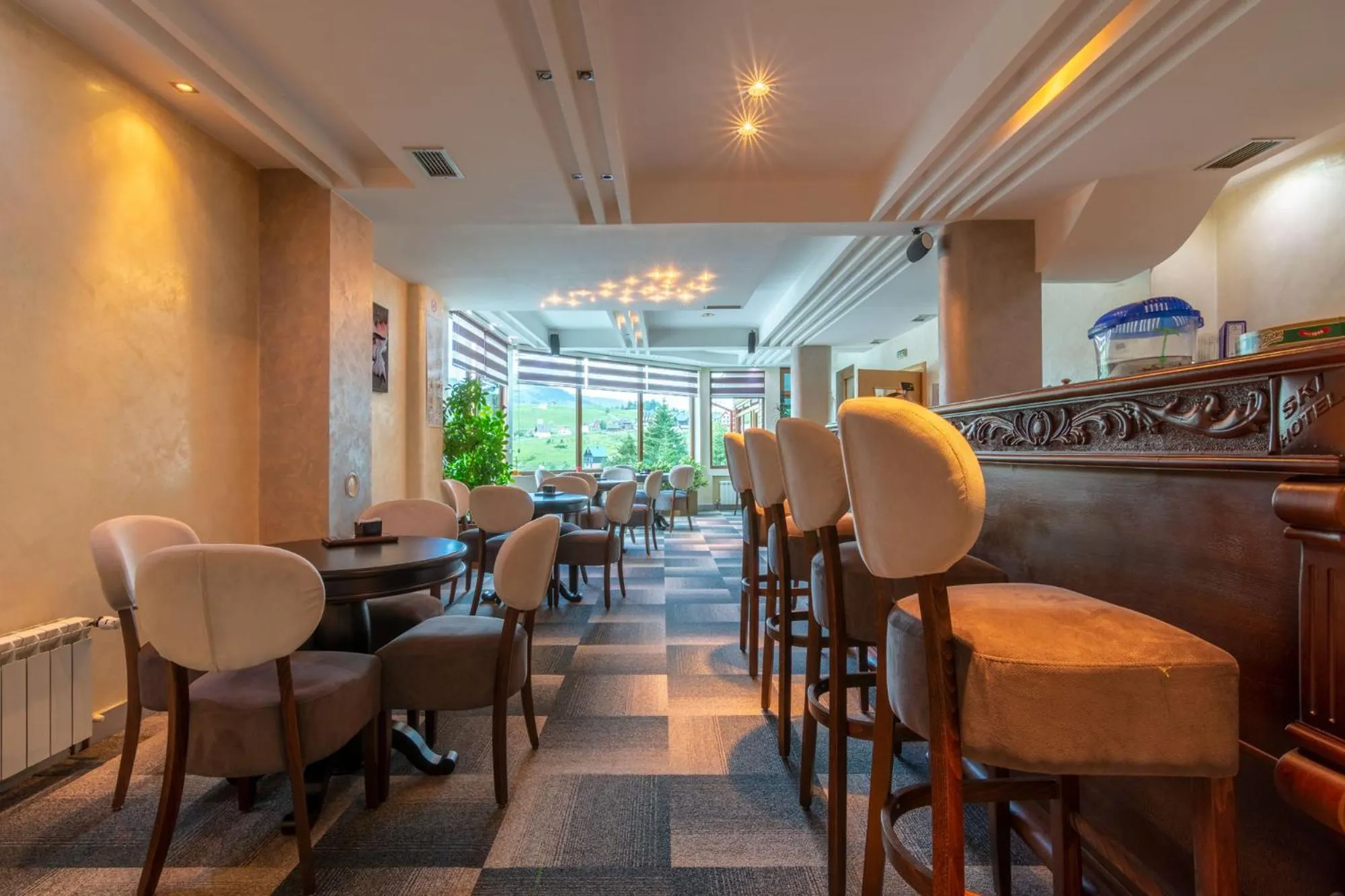 Lounge or bar in Ski Hotel