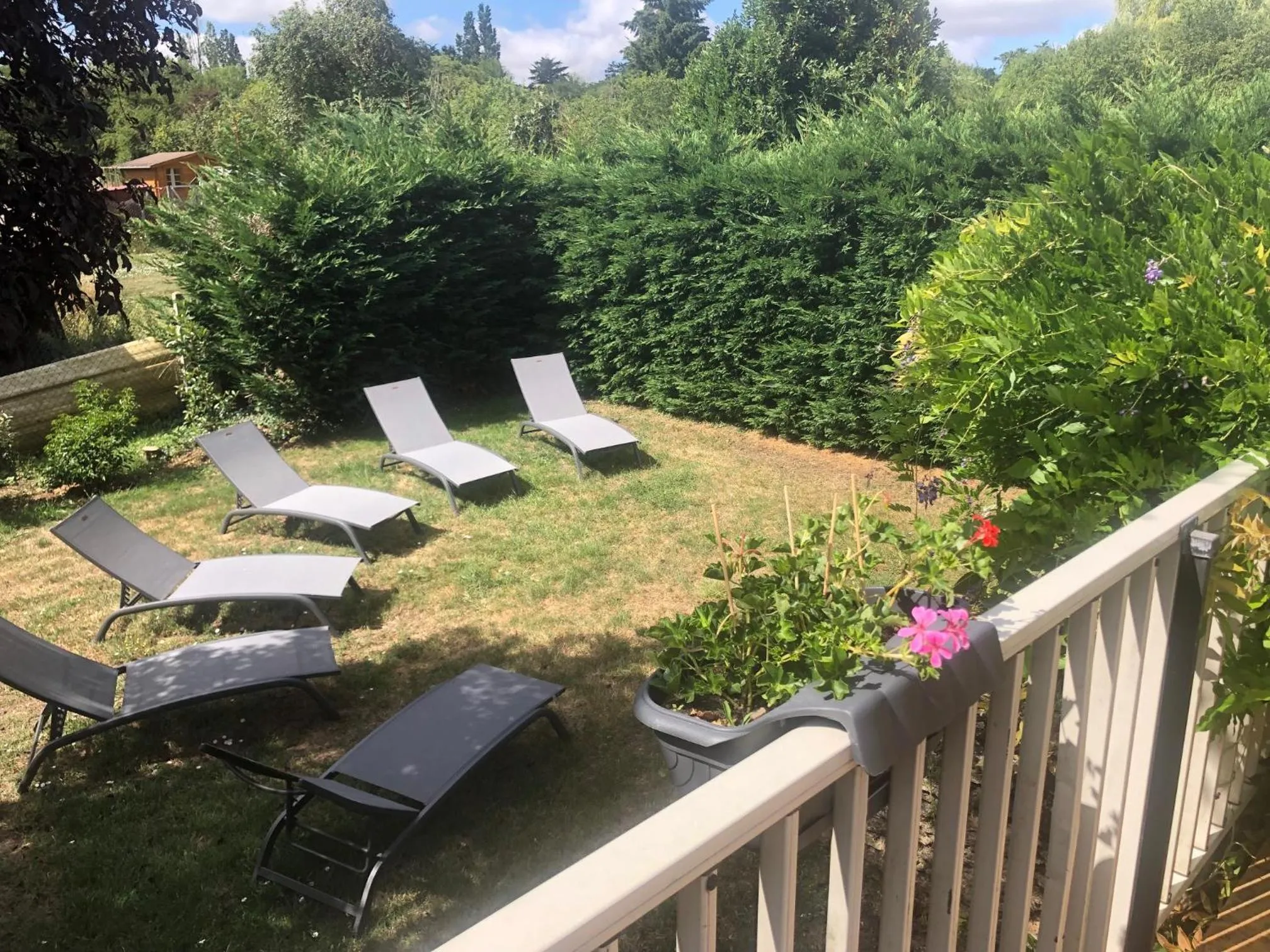 Garden in Au Nom des Dames, Maison et Table d'Hôtes, près de Chenonceau et du Zoo de Beauval