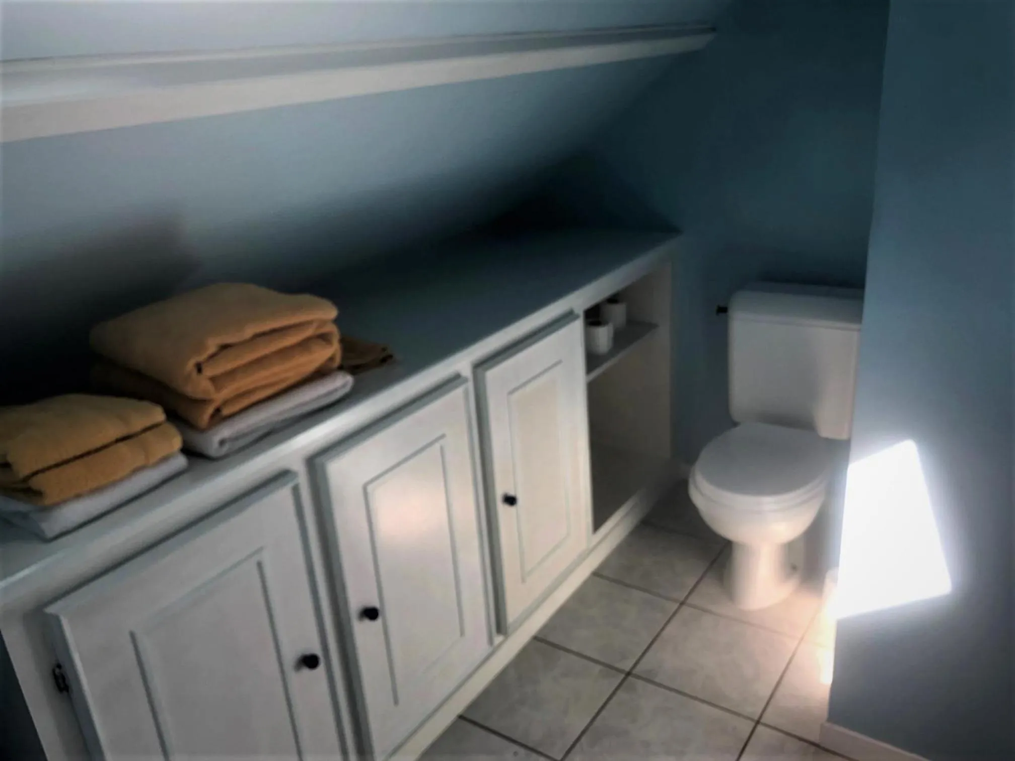 Bathroom in Au Nom des Dames, Maison et Table d'Hôtes, près de Chenonceau et du Zoo de Beauval