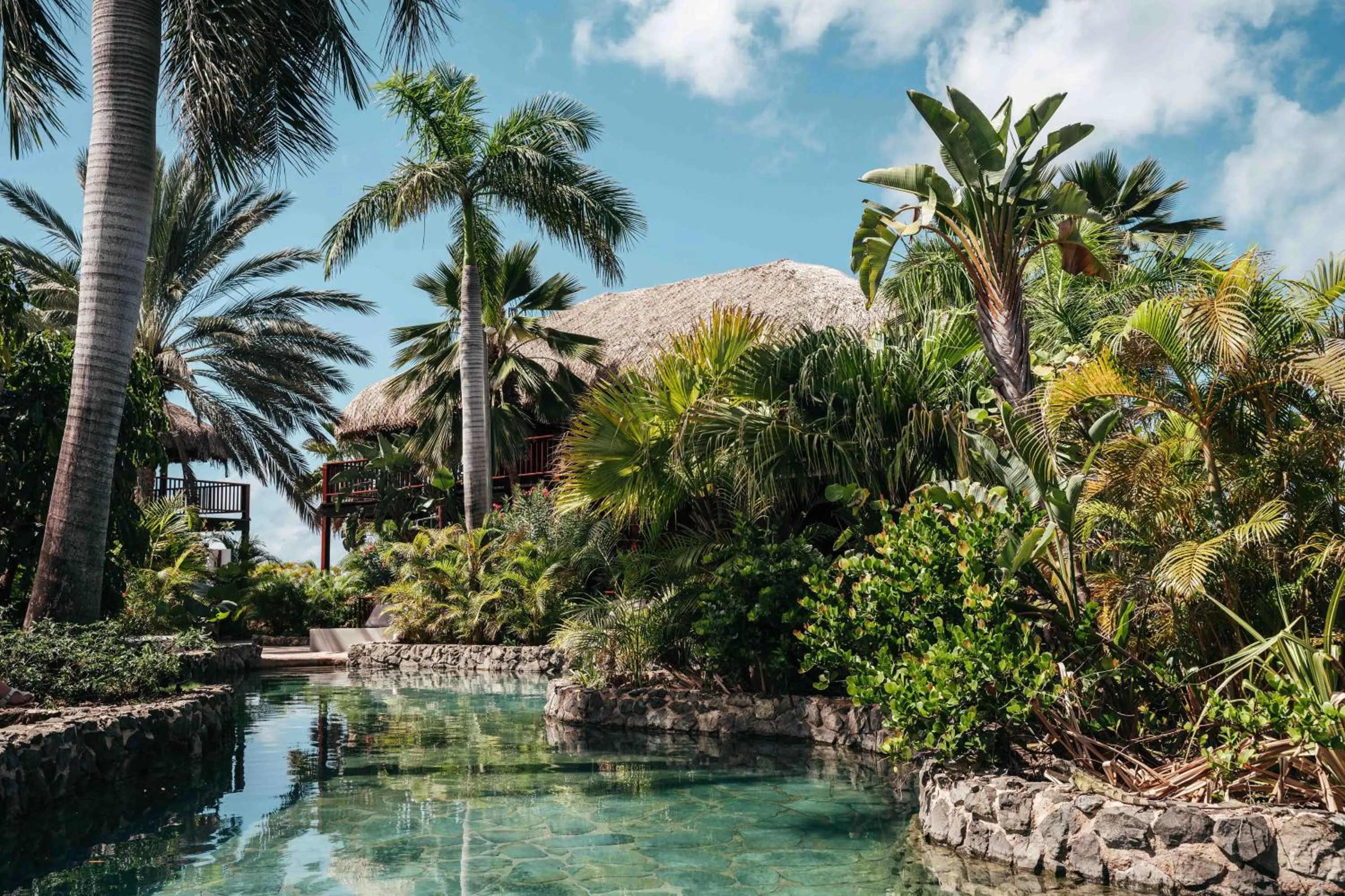 Garden in Kontiki Beach Resort