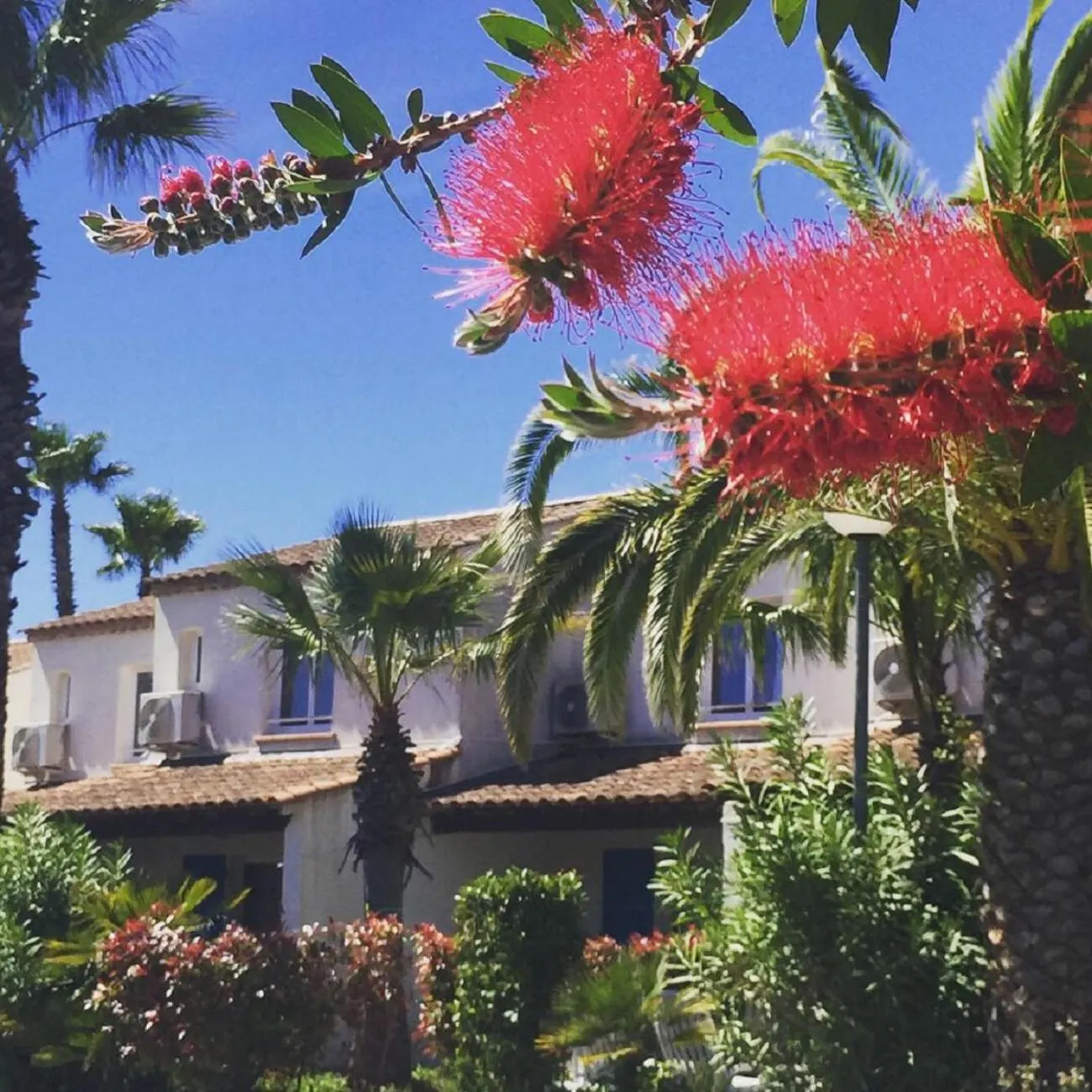 Garden in Residence La Palmeraie