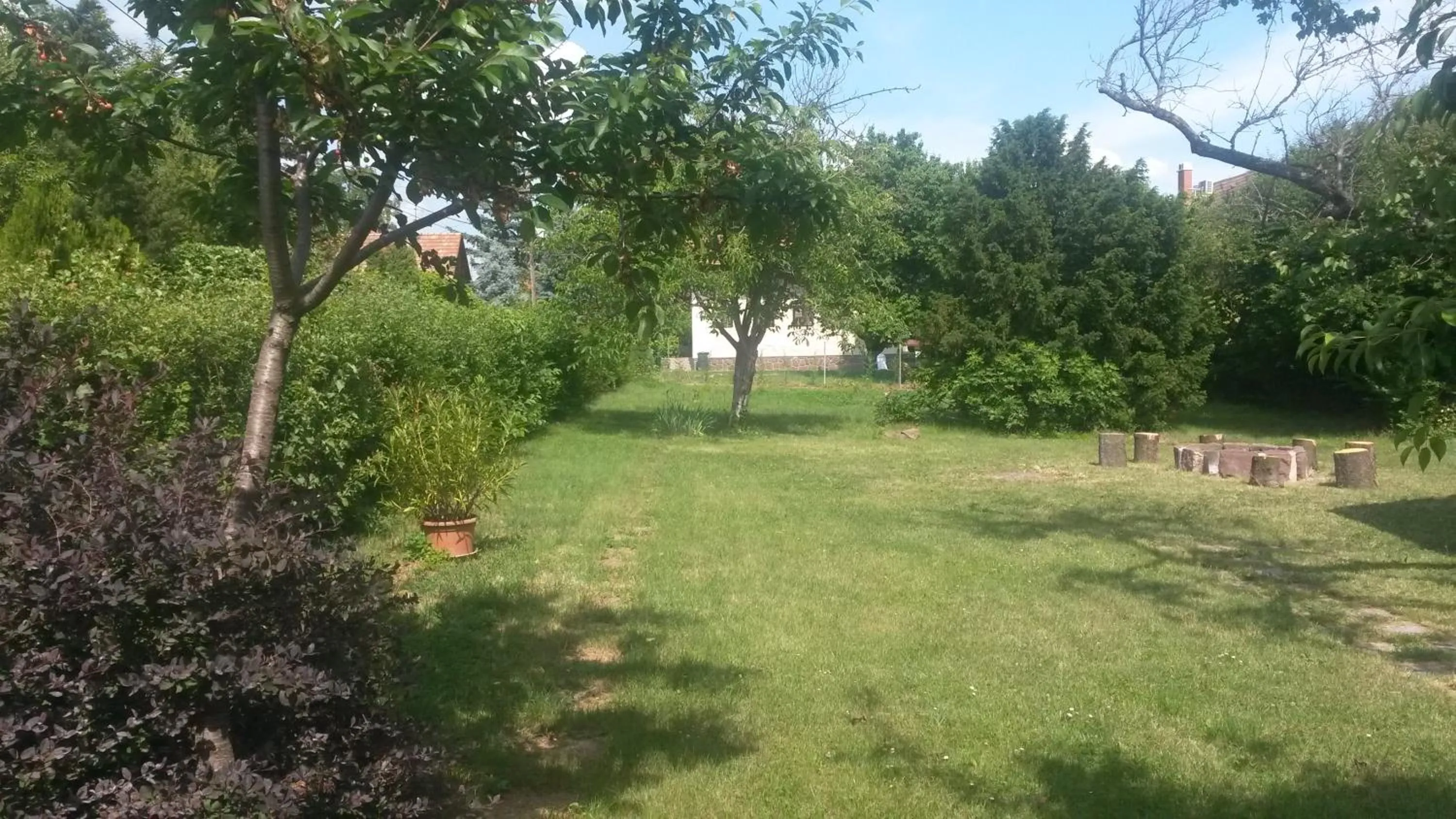 Garden in Lake Vendégház