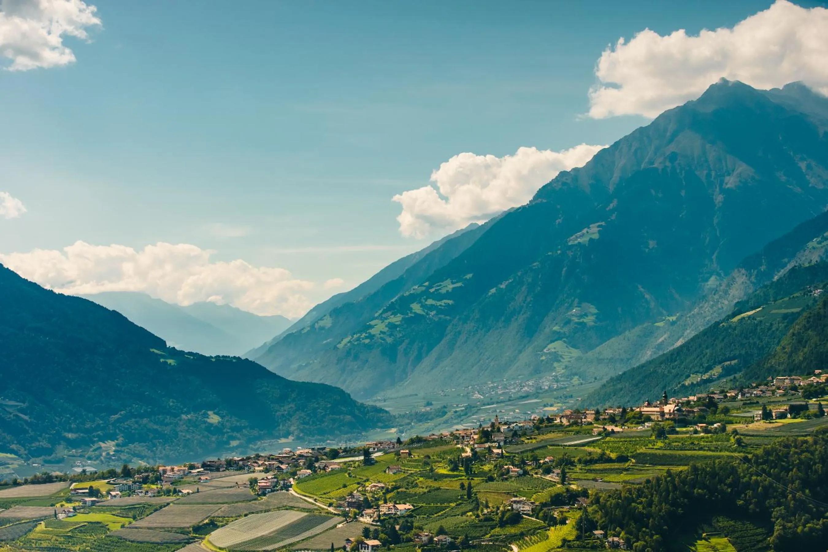 Natural landscape in Oliven- & Genusshotel Hirzer