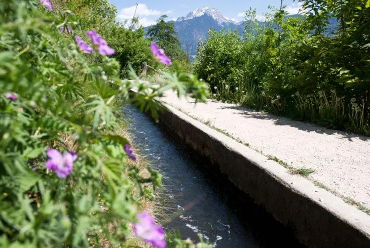 Hiking in Oliven- & Genusshotel Hirzer