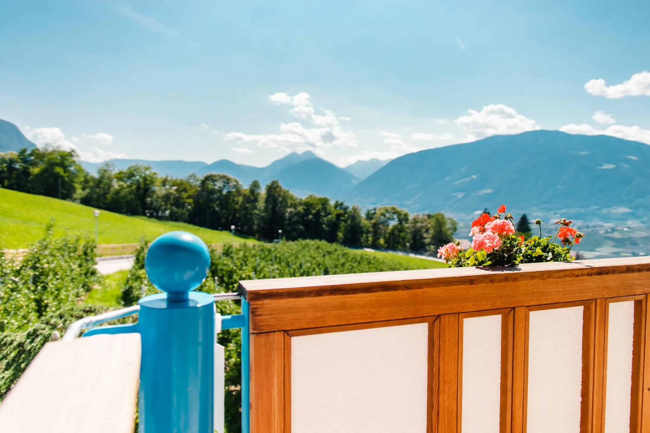 Balcony/Terrace in Oliven- & Genusshotel Hirzer