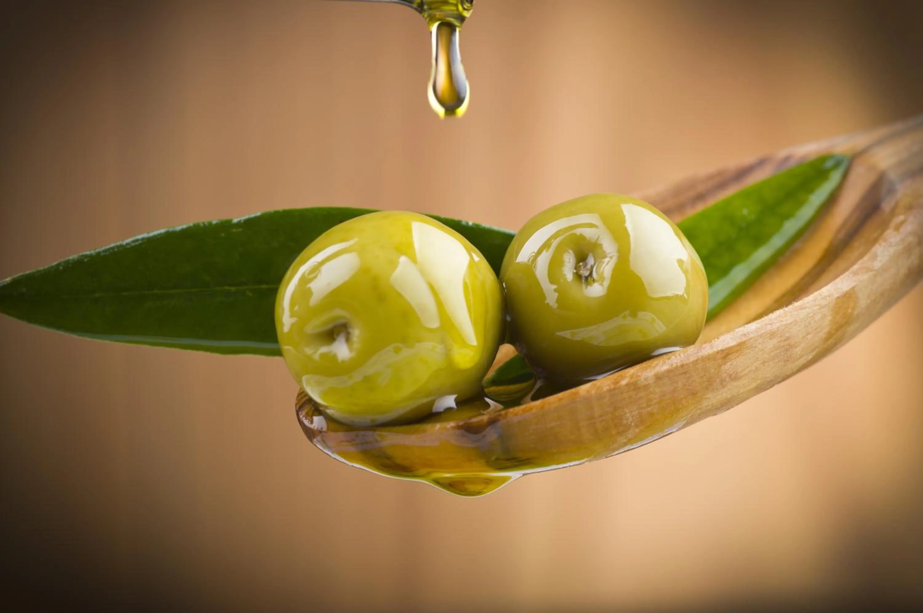 Other in Oliven- & Genusshotel Hirzer