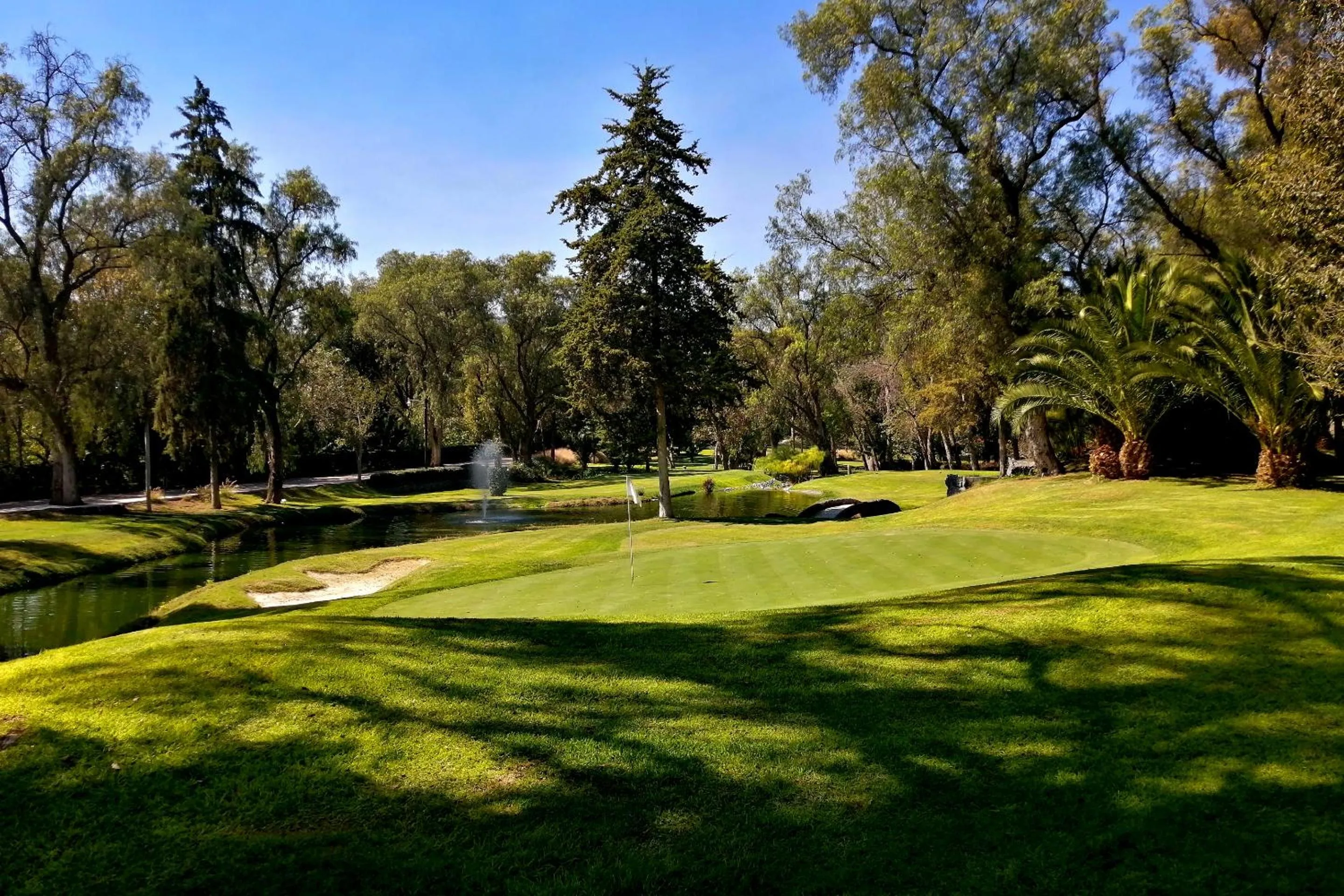 Golfcourse in Hotel Real del Bosque Golf and Spa