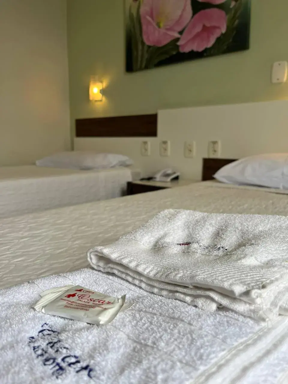 Twin Room - single occupancy in Oscar Palace Hotel - Centro de Tubarão Twin Room - single occupancy in Oscar Palace Hotel - Centro de Tubarão