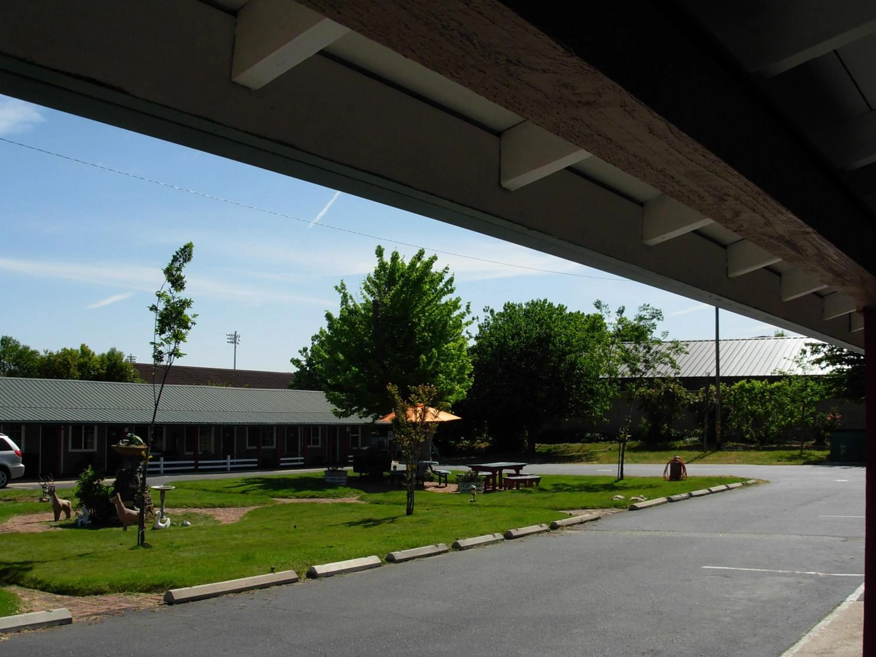 Natural landscape in Jumping Frog Motel