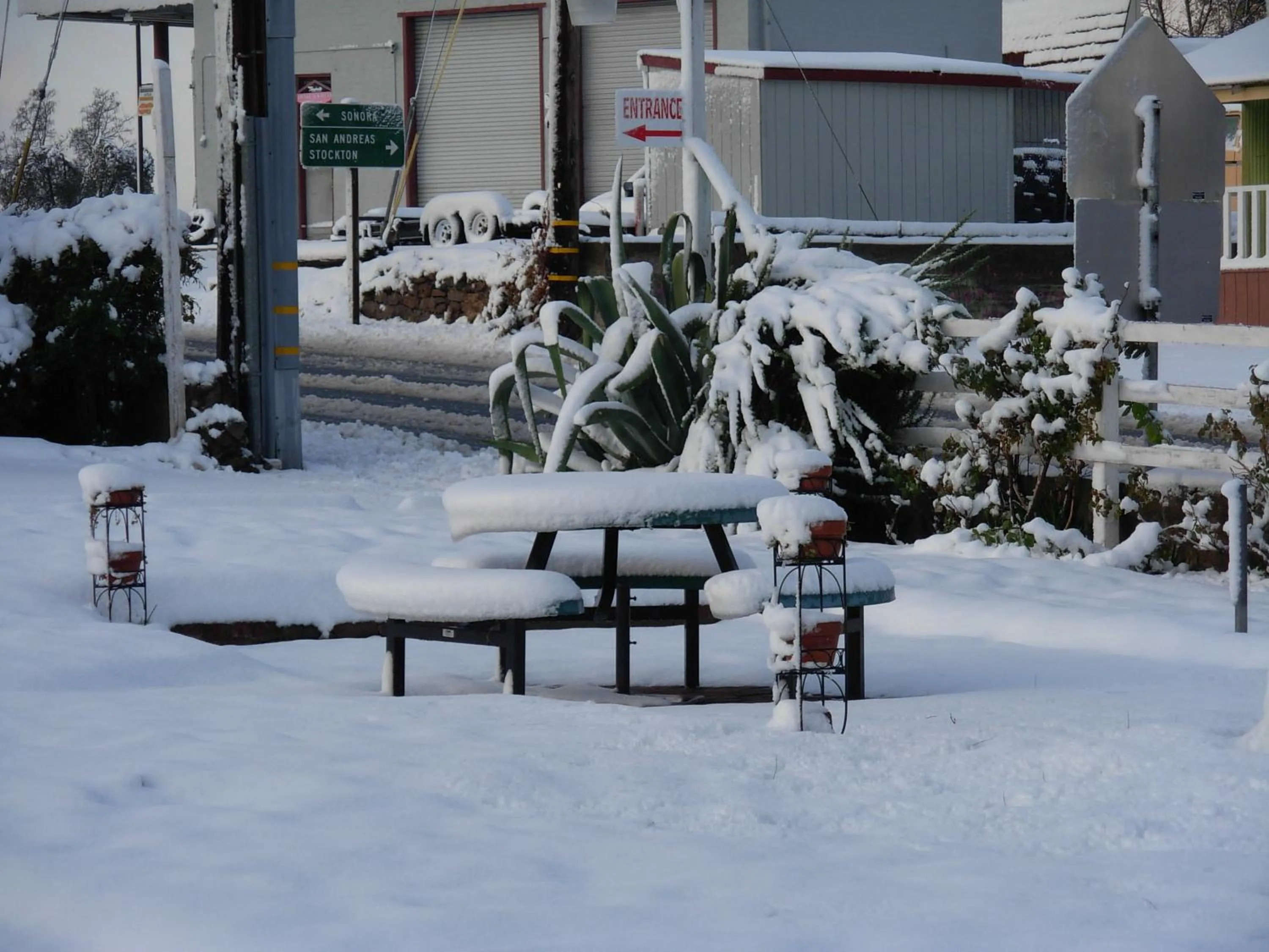 Day in Jumping Frog Motel