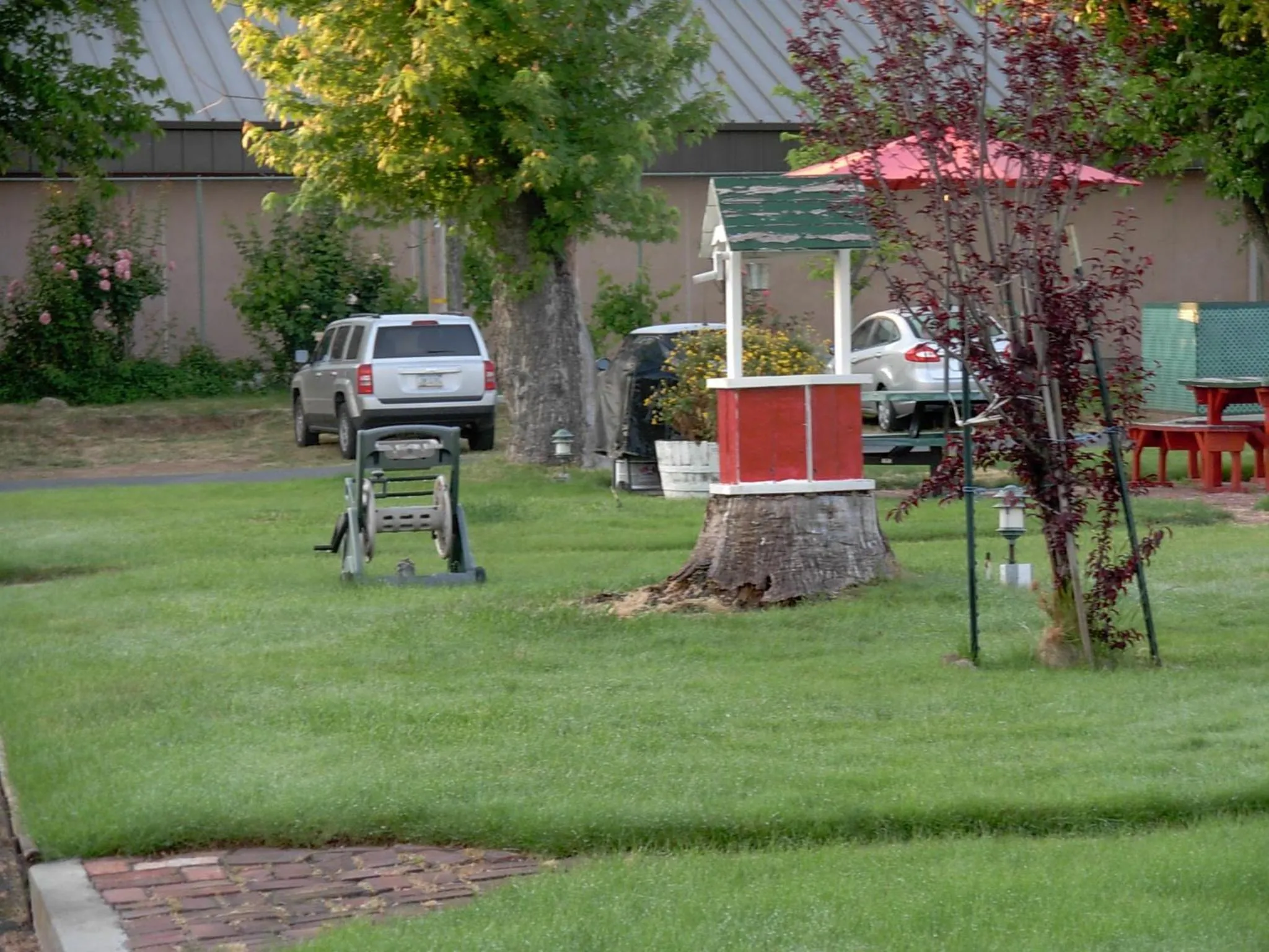 Garden view in Jumping Frog Motel
